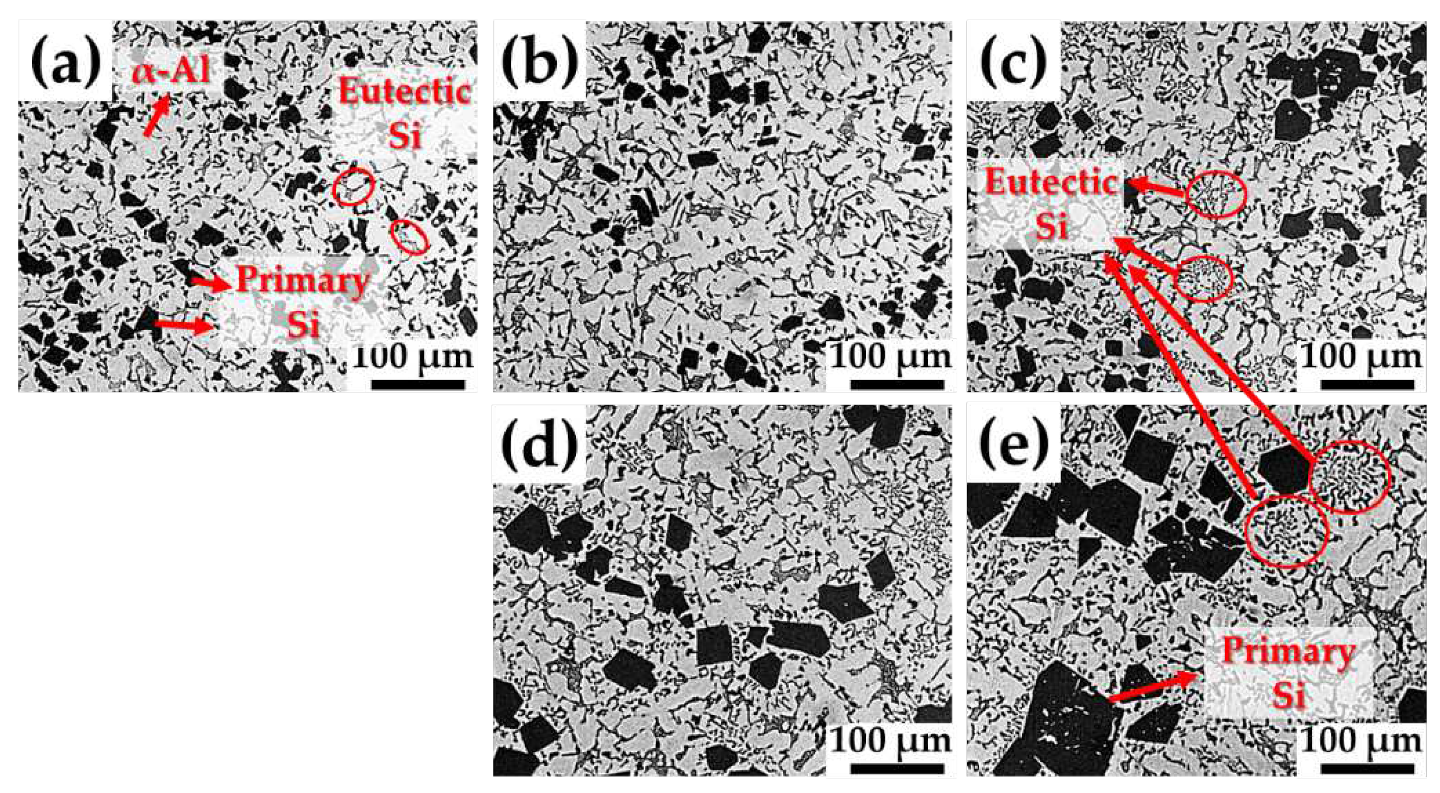 Preprints 92462 g003