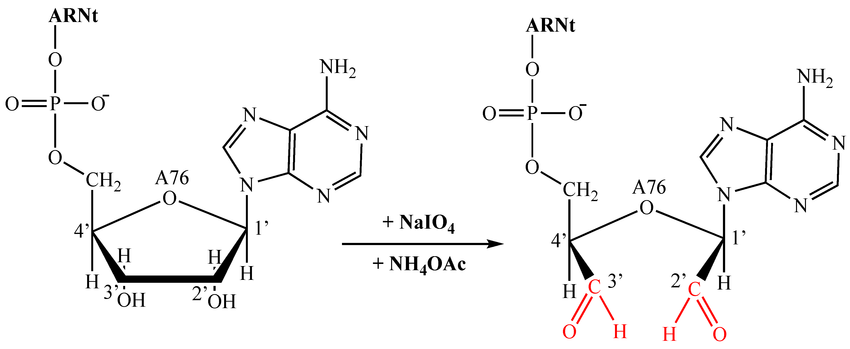 Preprints 84116 g001