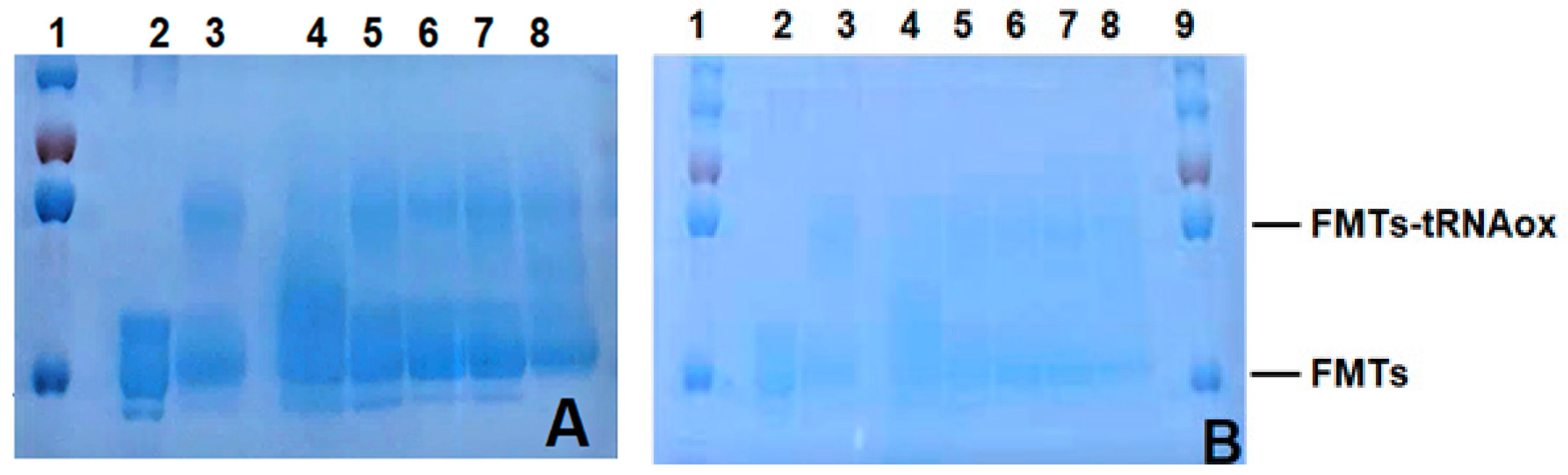 Preprints 84116 g008