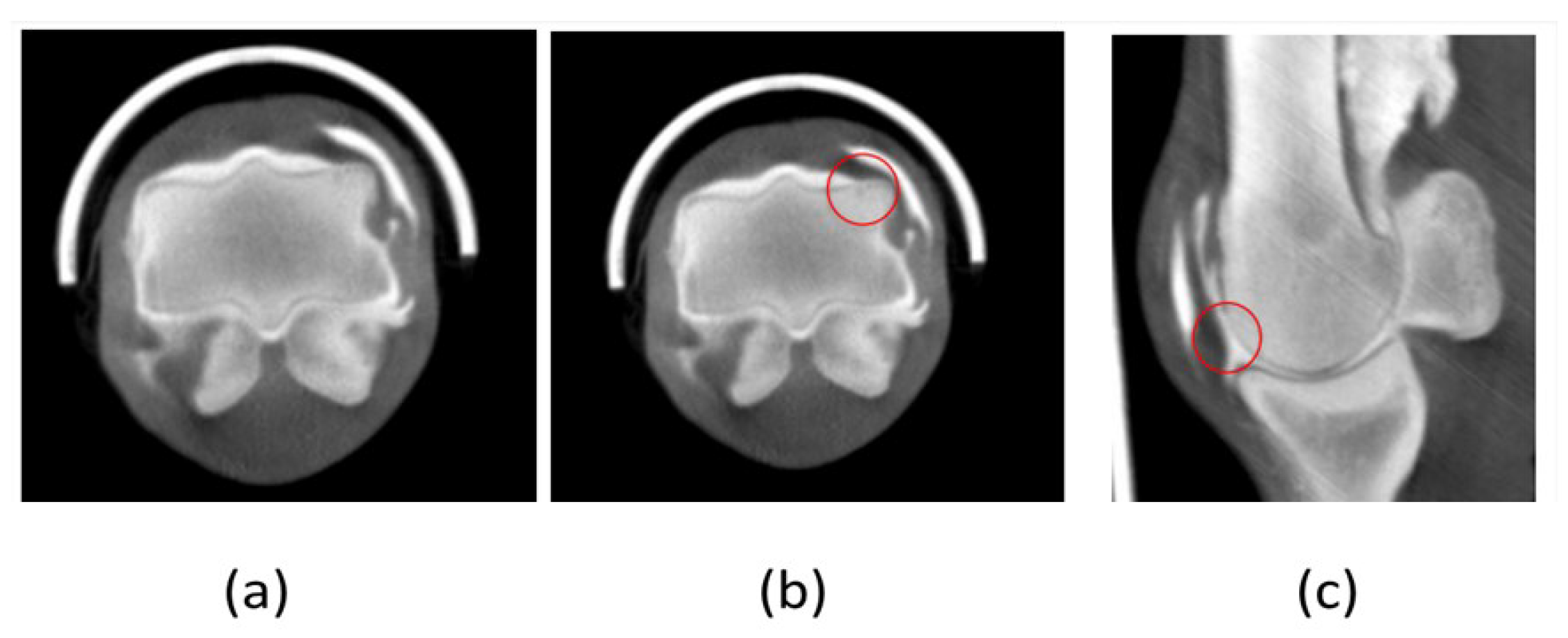 Preprints 97340 g008