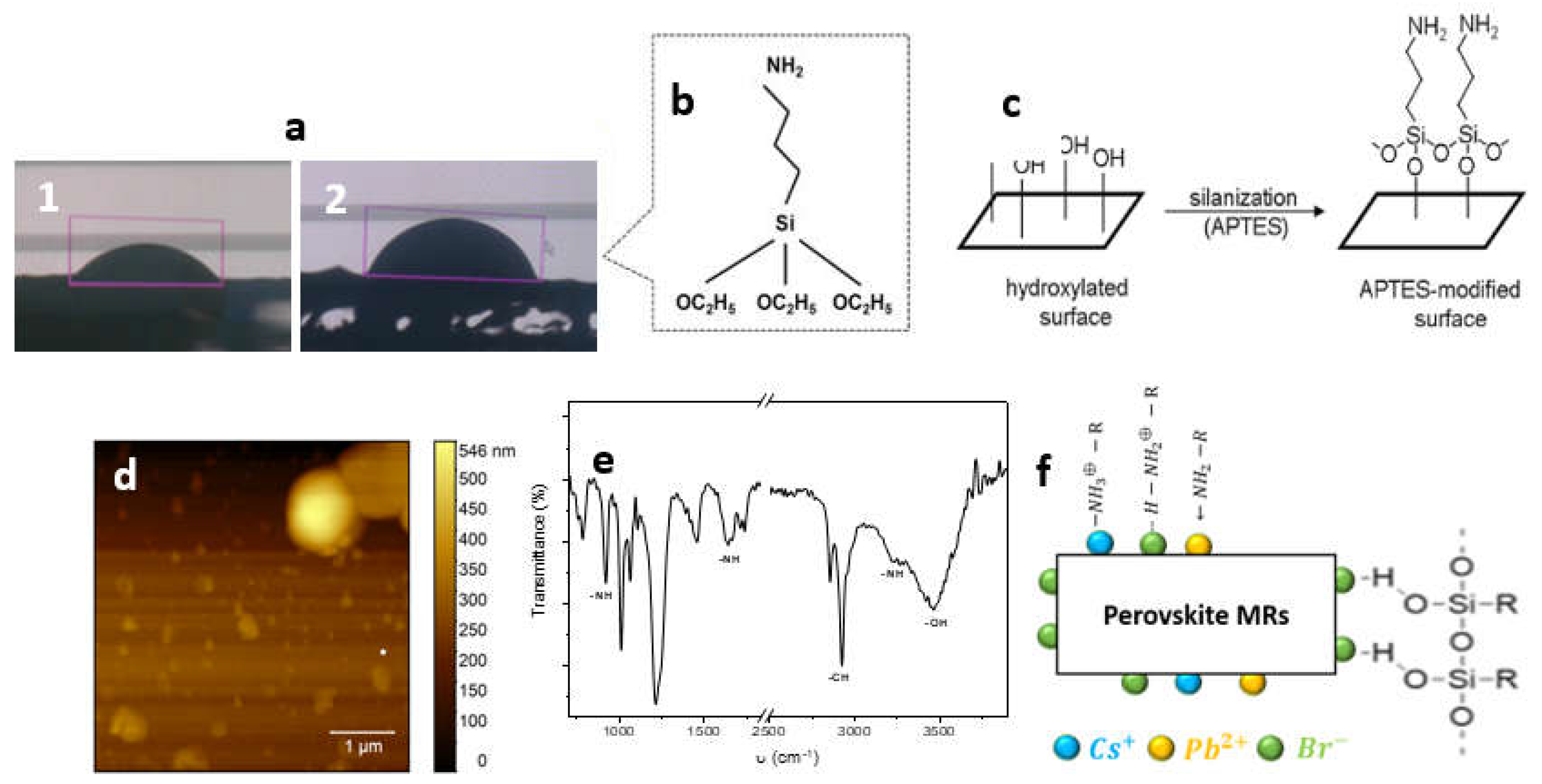 Preprints 113014 g003