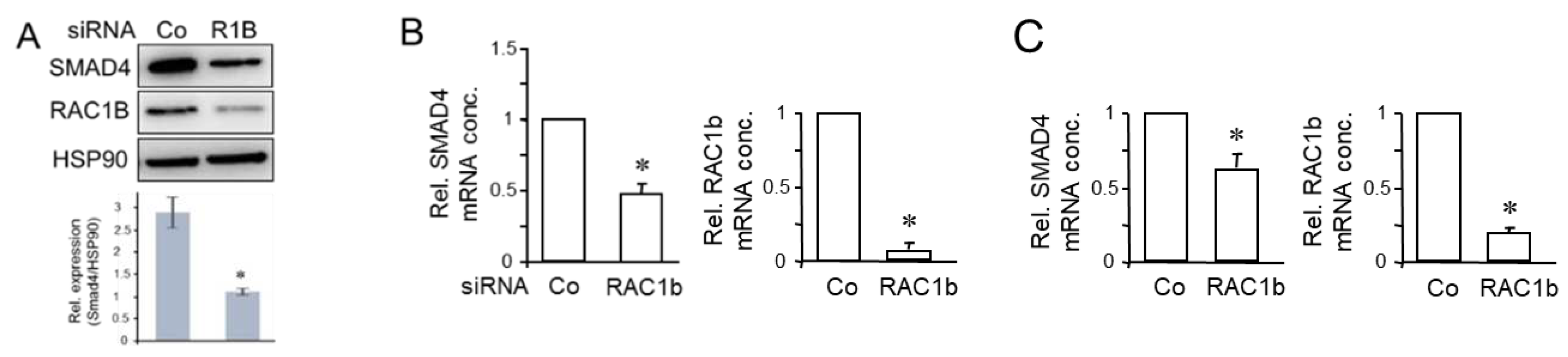 Preprints 86055 g003