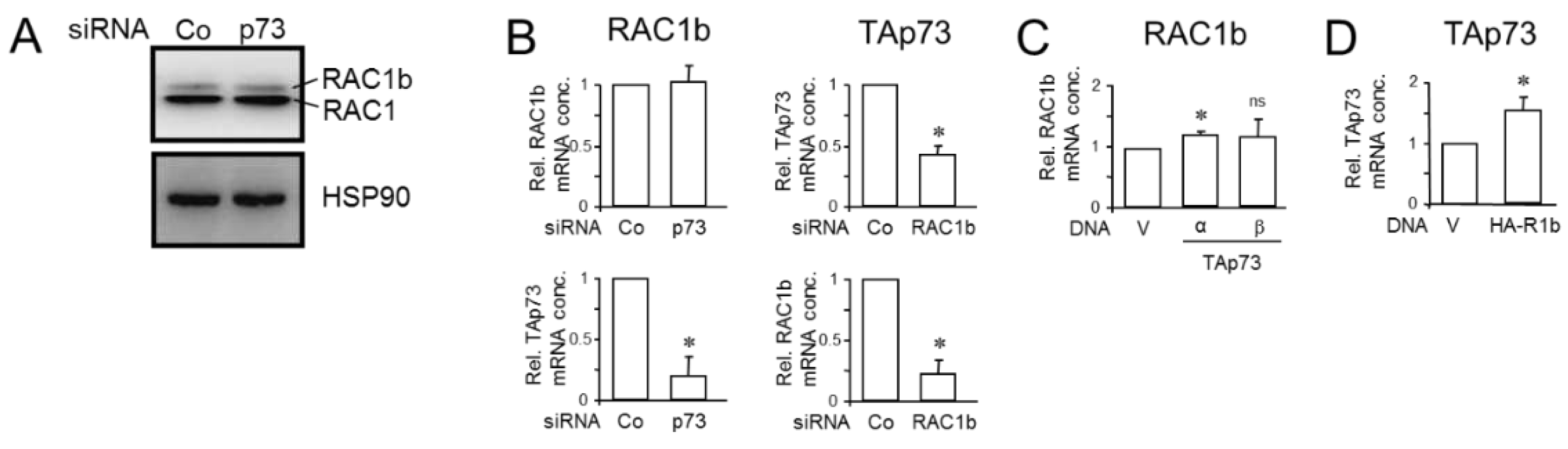 Preprints 86055 g004