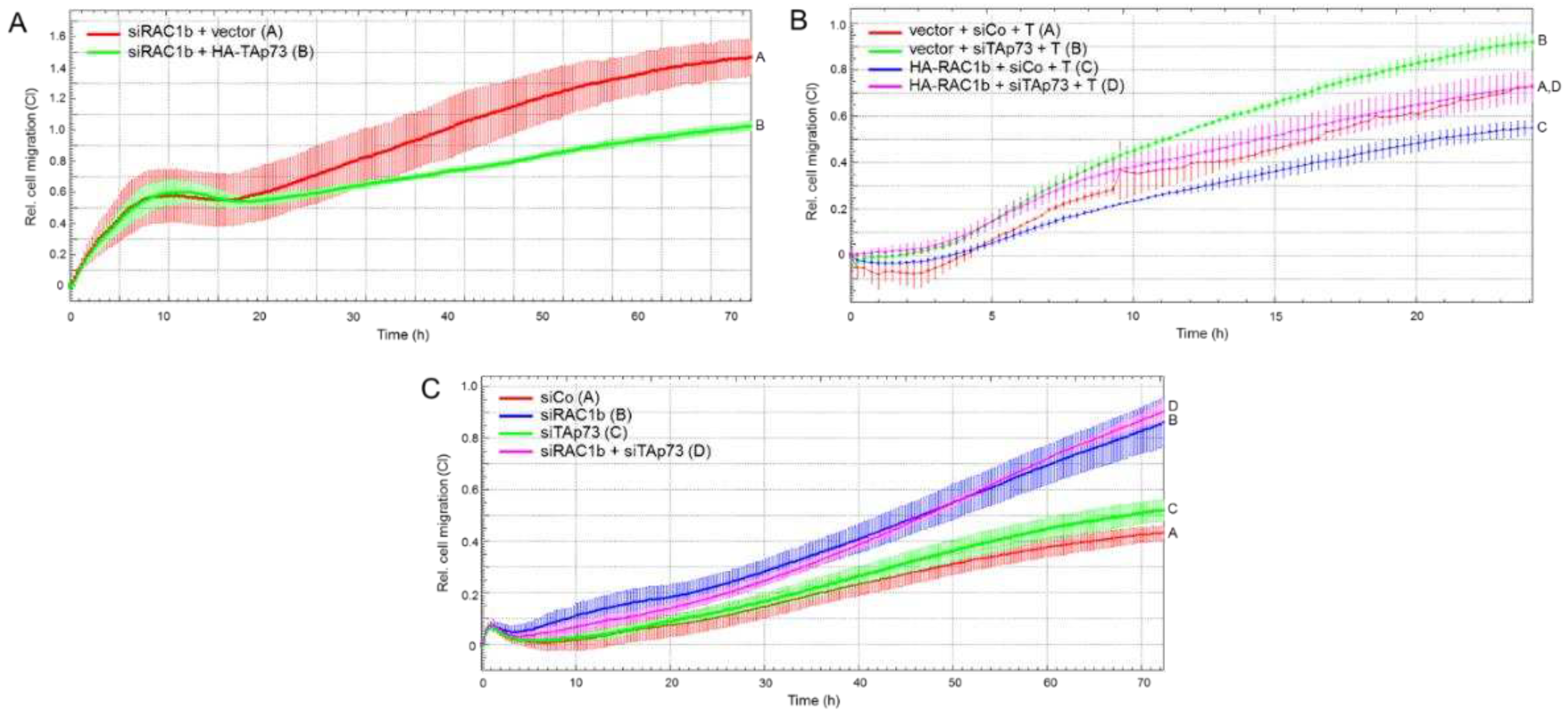 Preprints 86055 g005