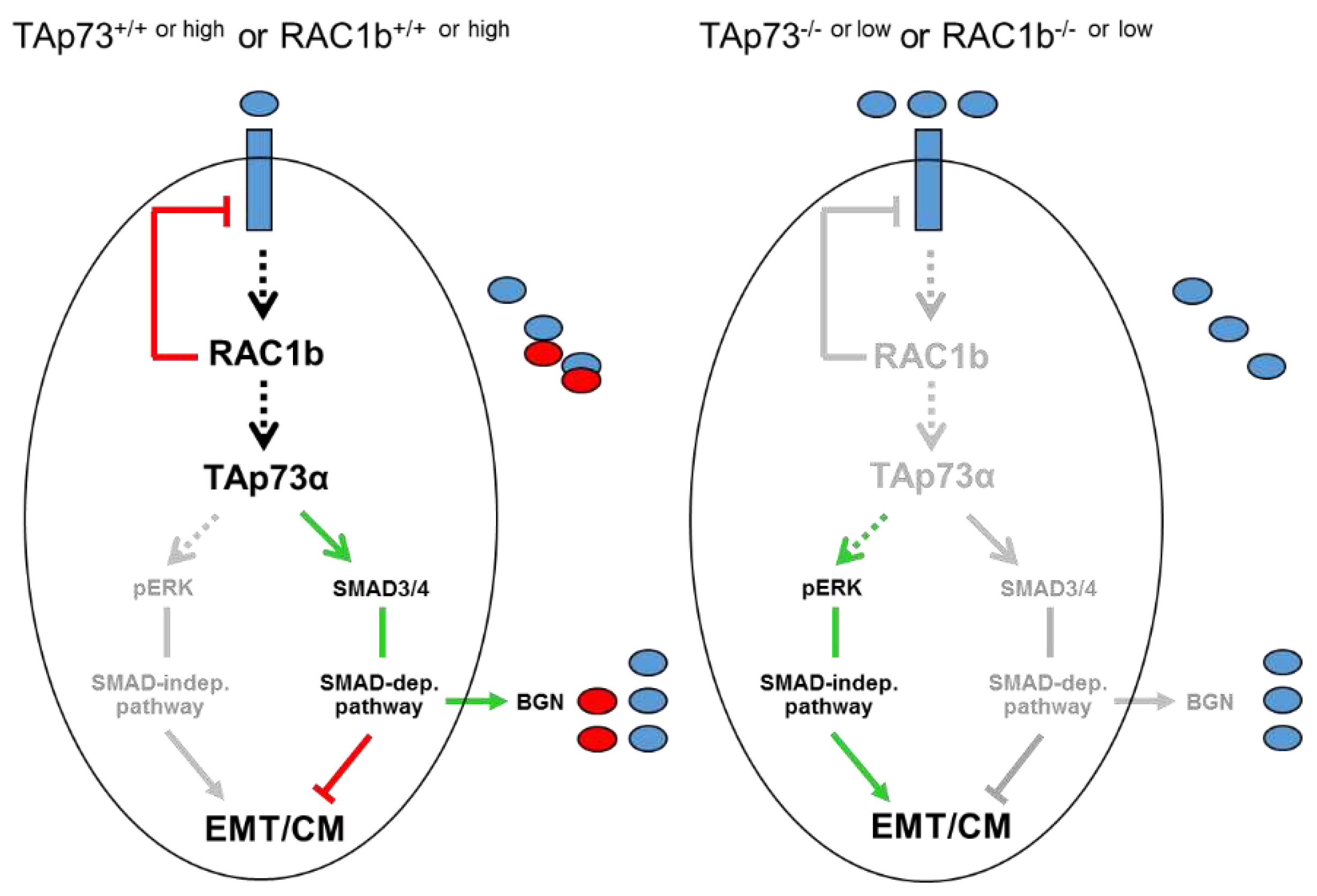 Preprints 86055 g007