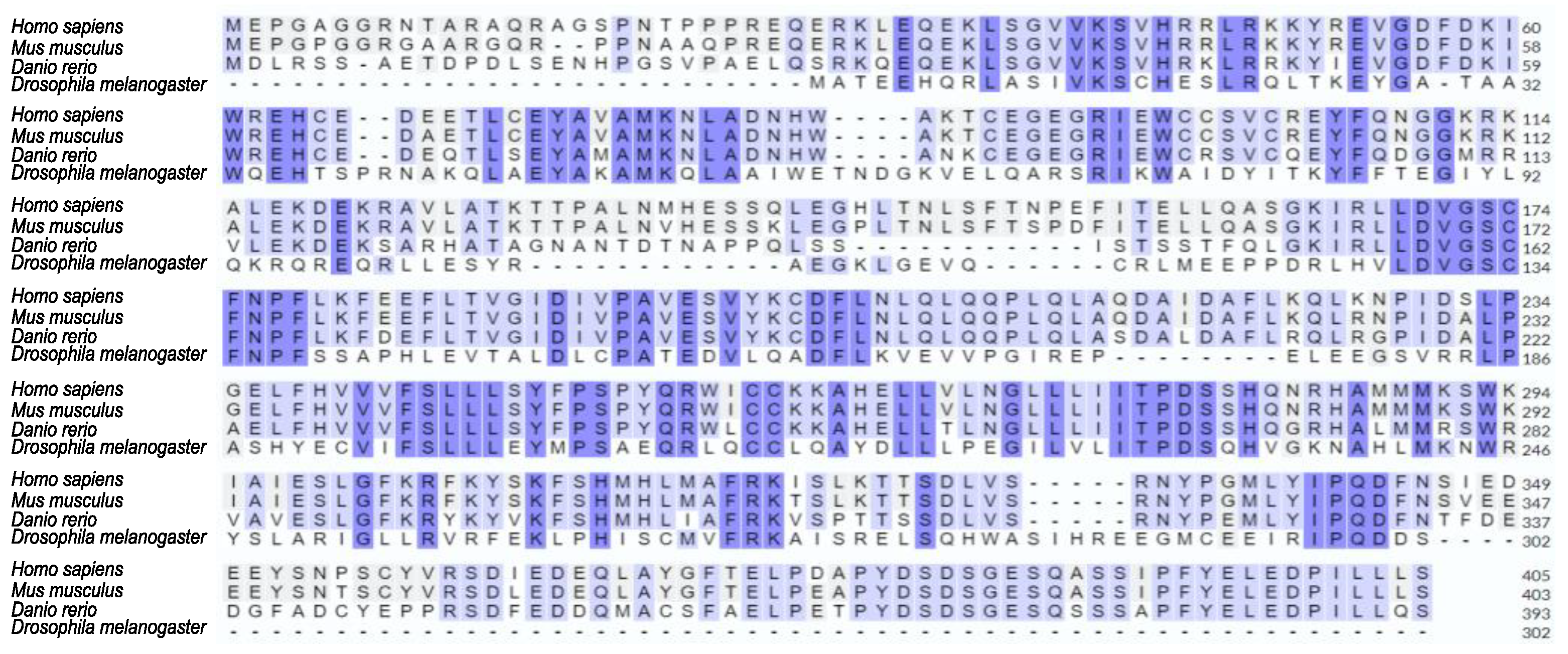 Preprints 72710 g001