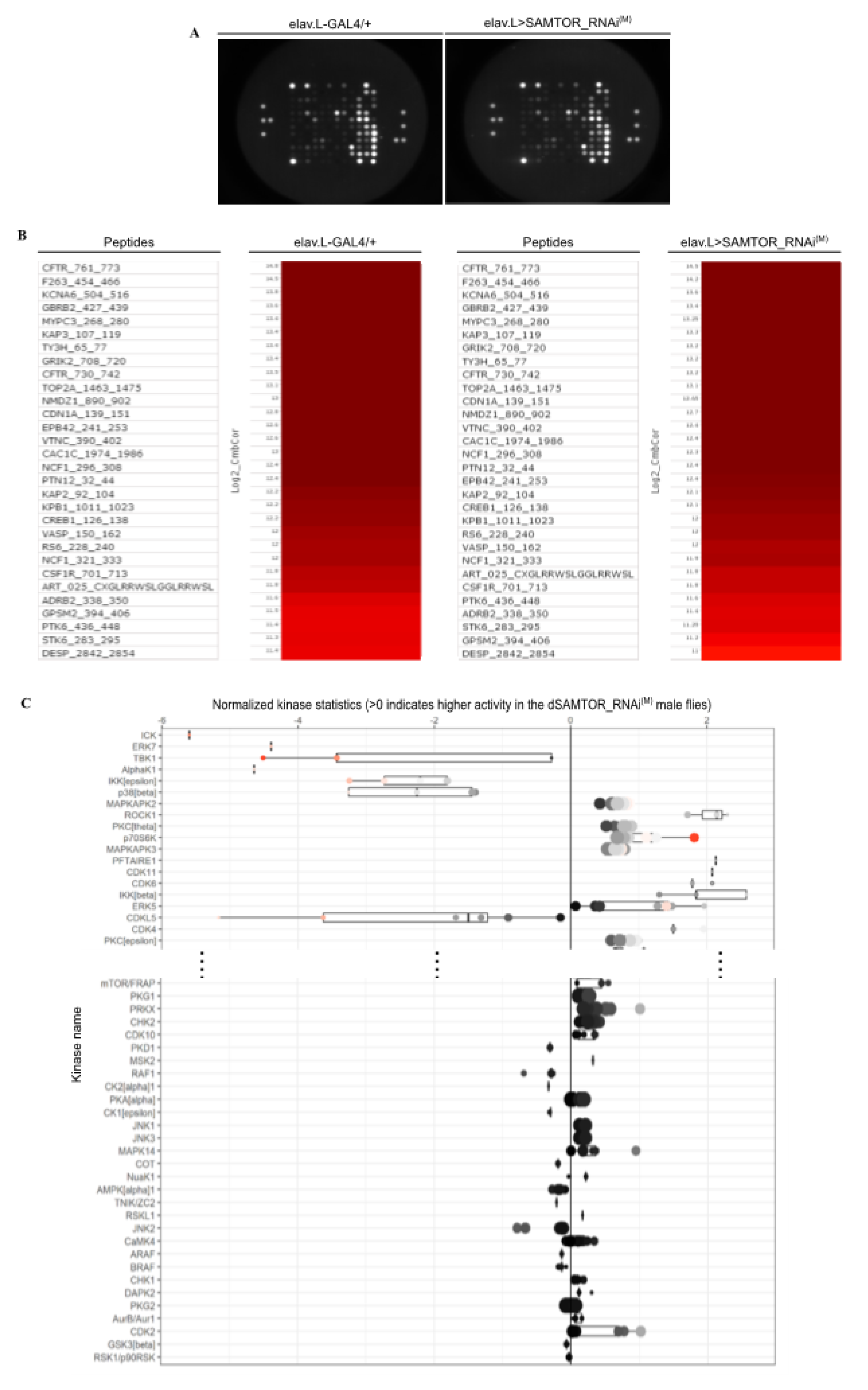 Preprints 72710 g005