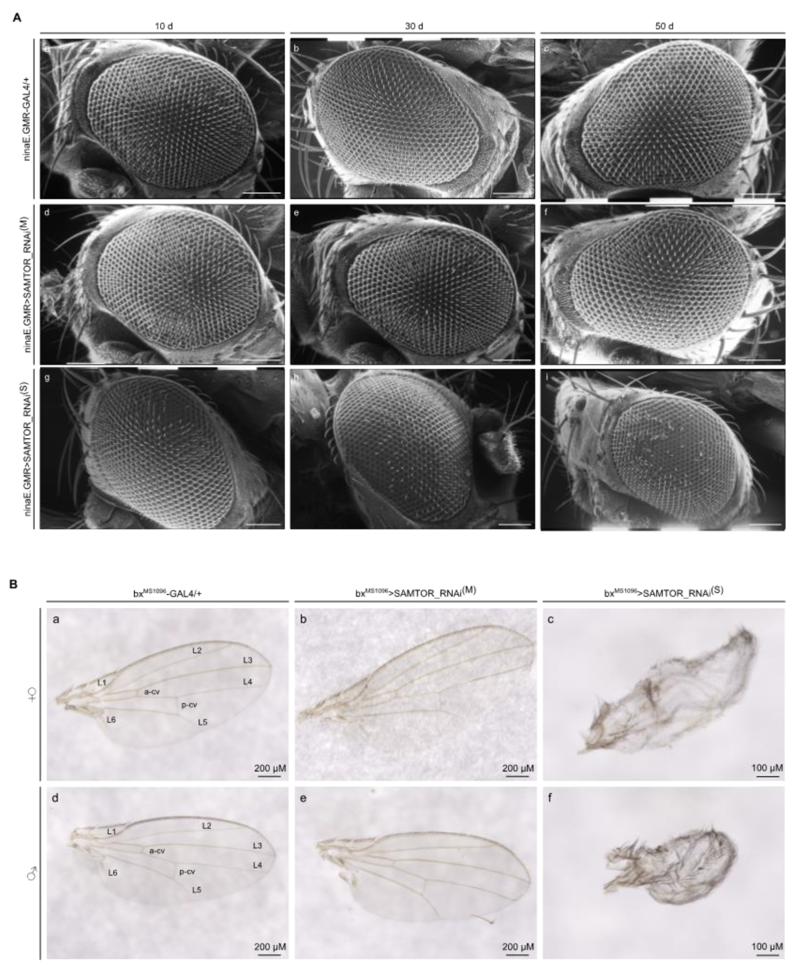 Preprints 72710 g006