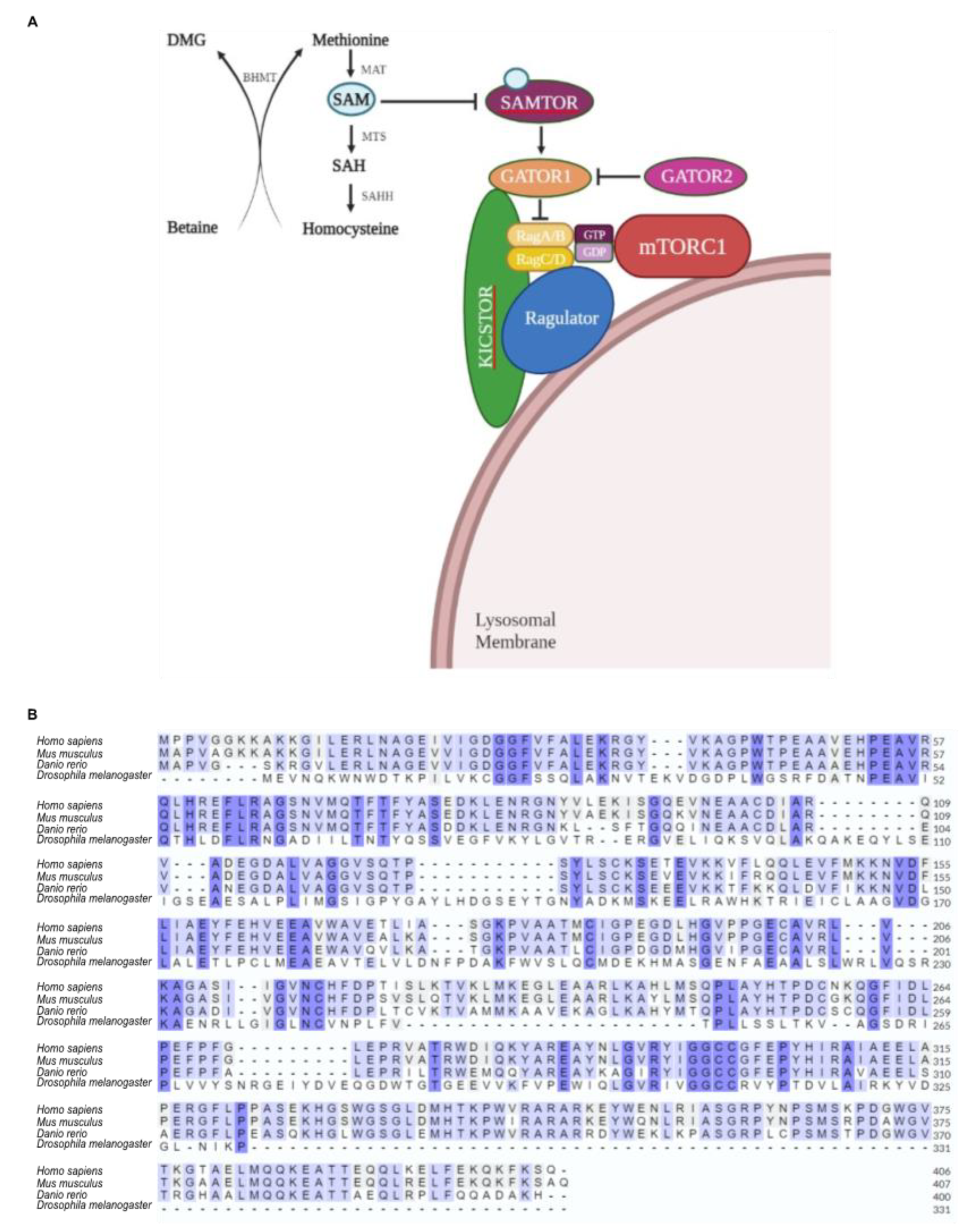 Preprints 72710 g007