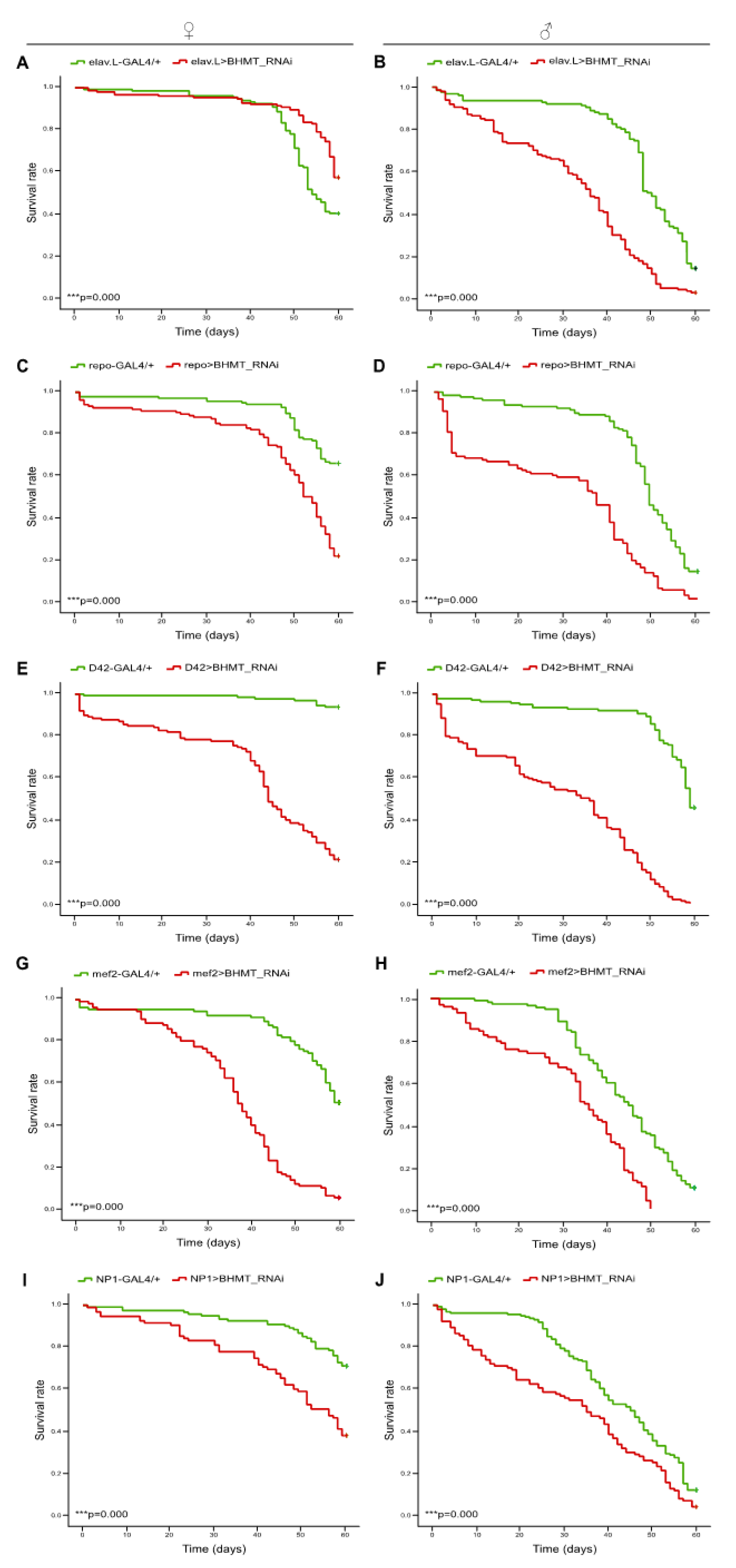 Preprints 72710 g009