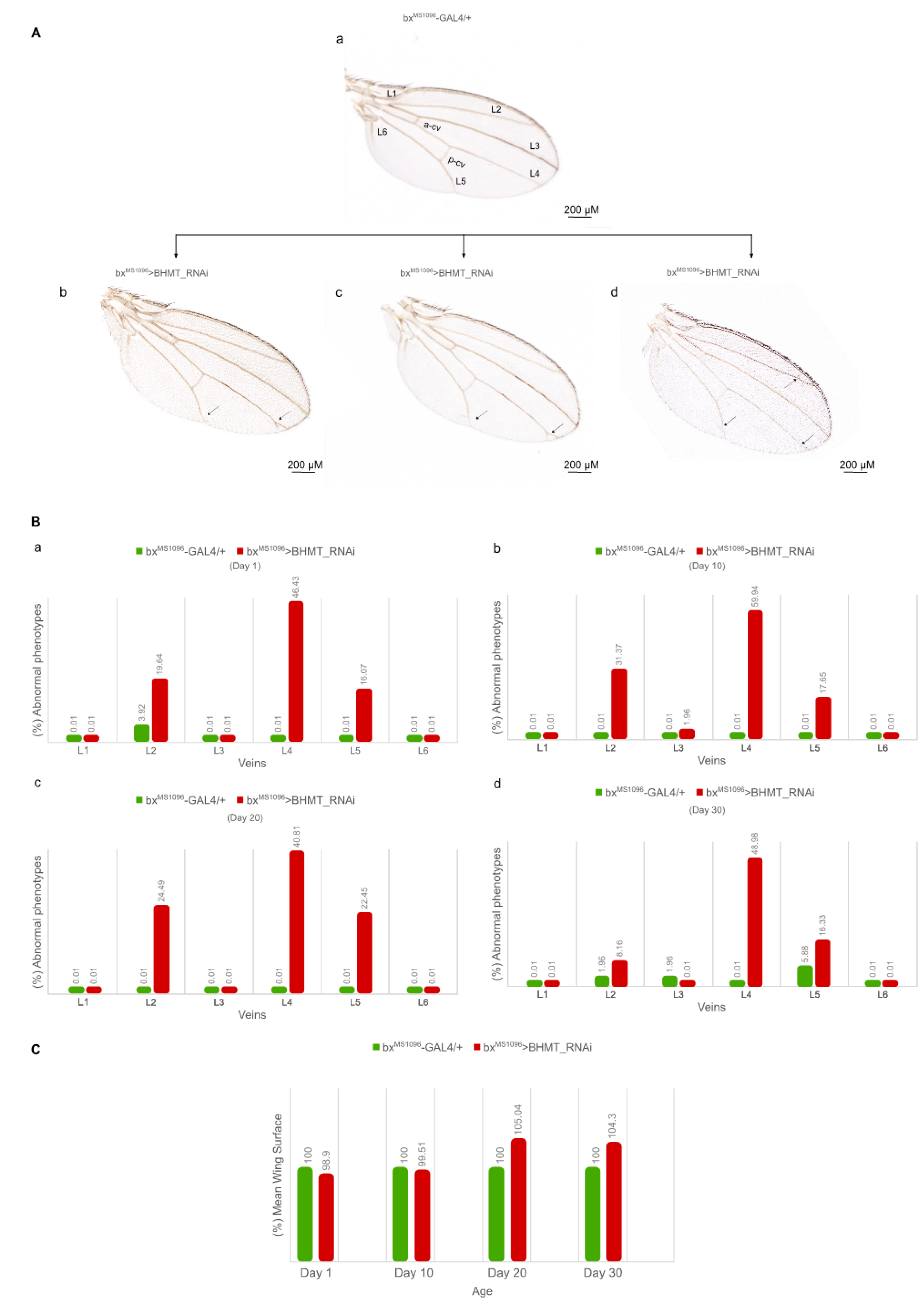 Preprints 72710 g012