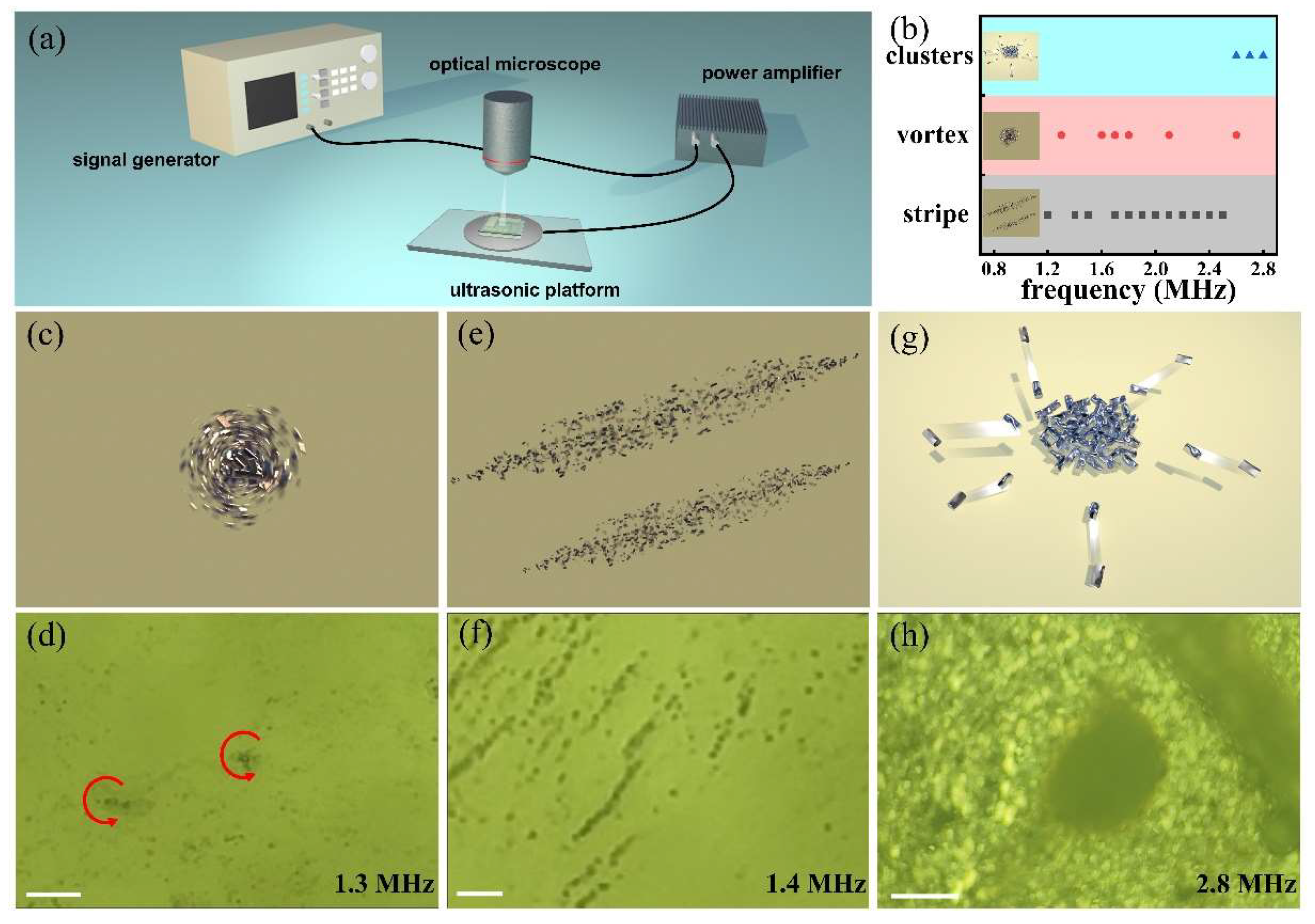 Preprints 97106 g002