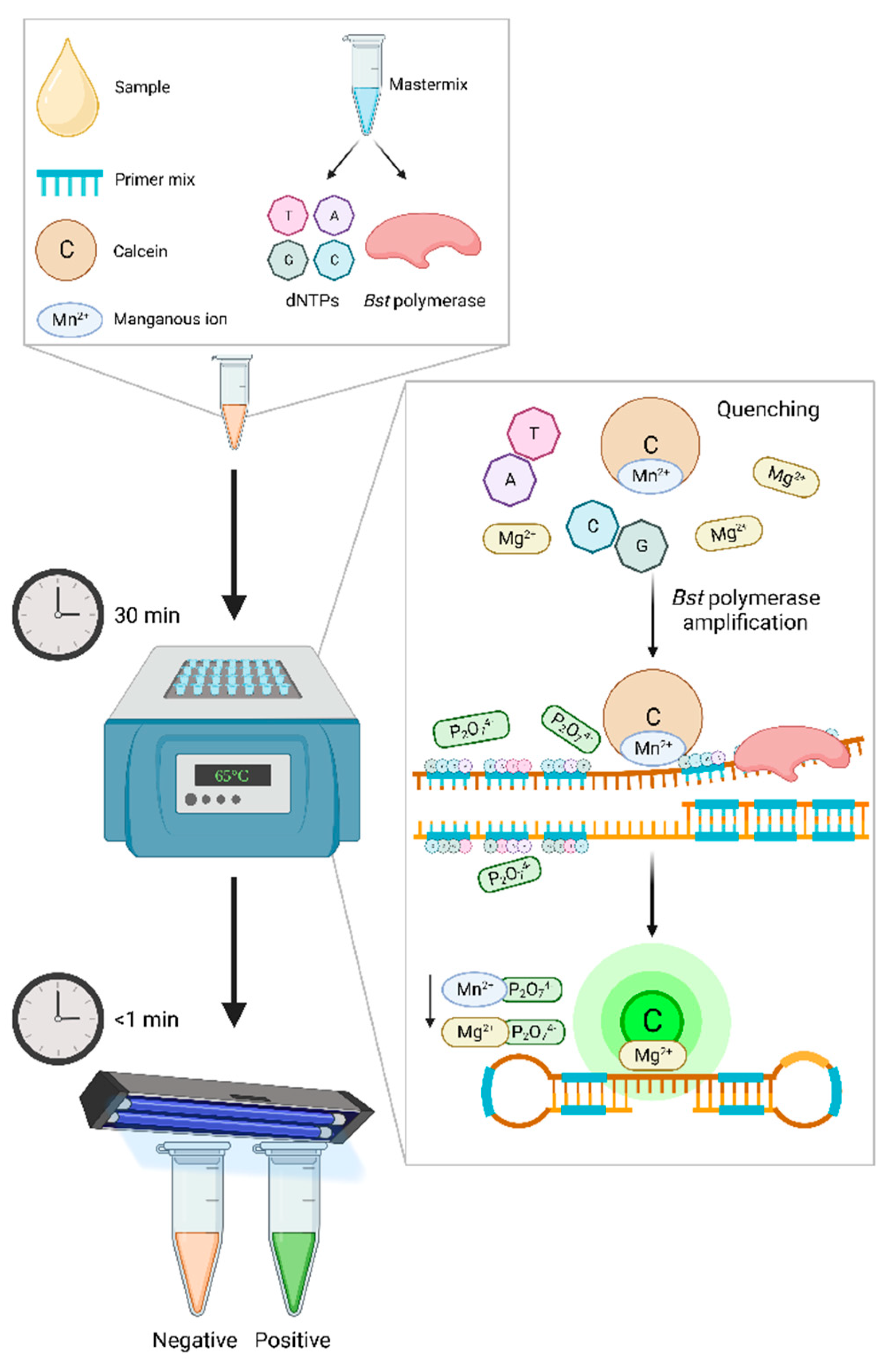 Preprints 77880 g001