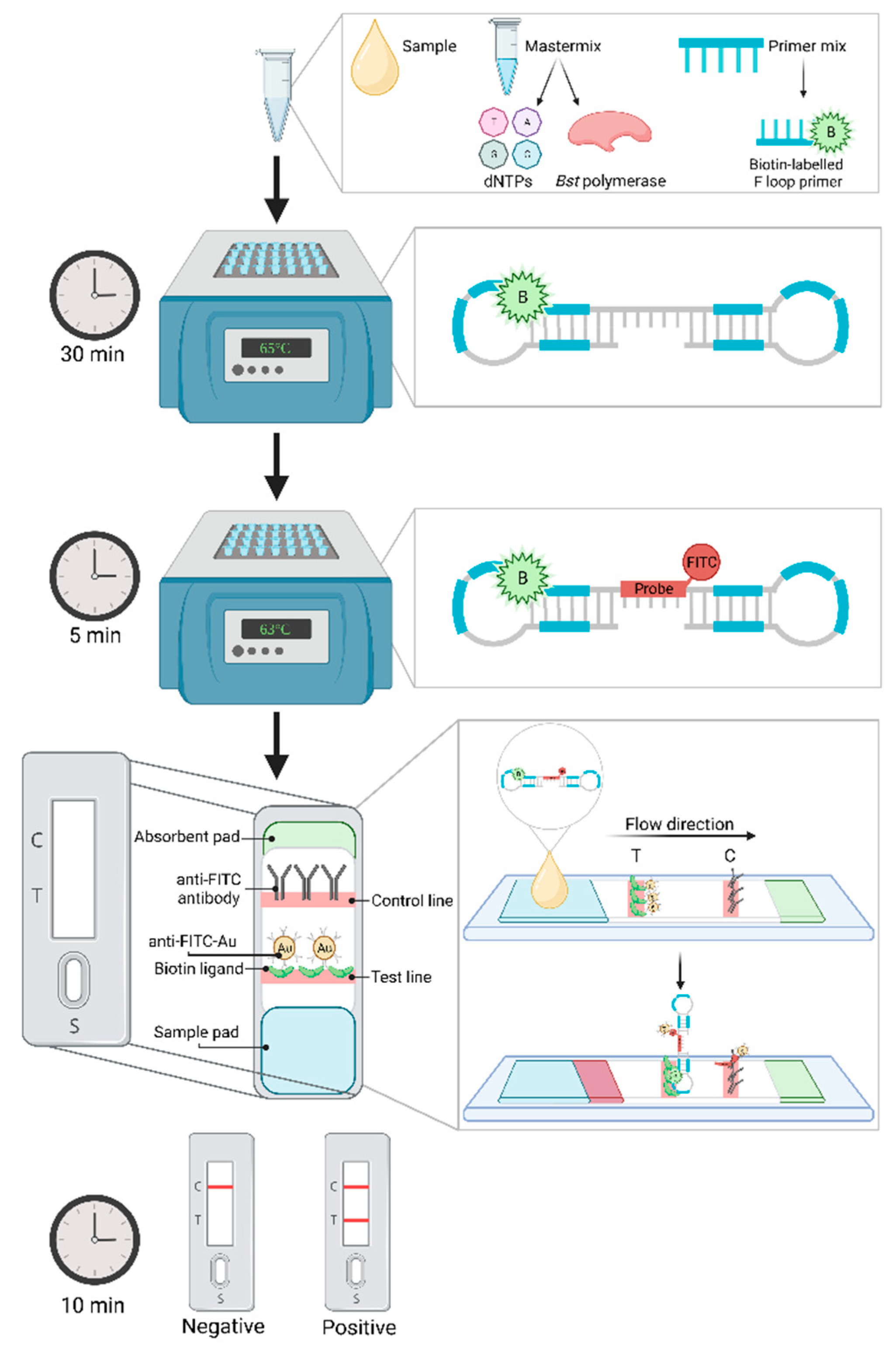 Preprints 77880 g002