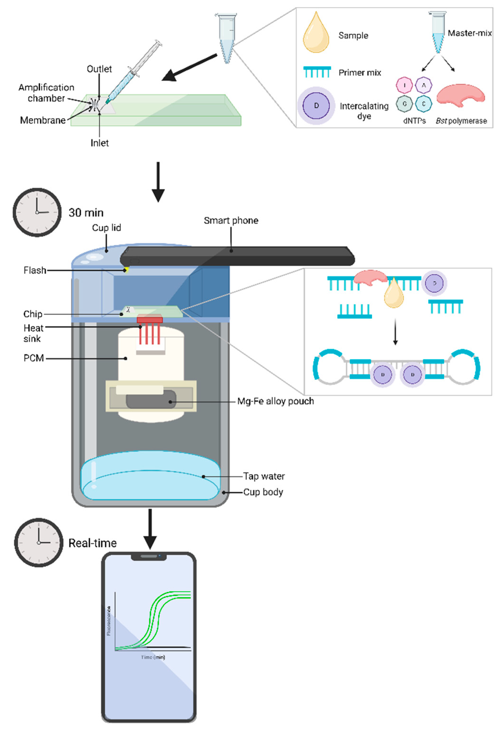 Preprints 77880 g003