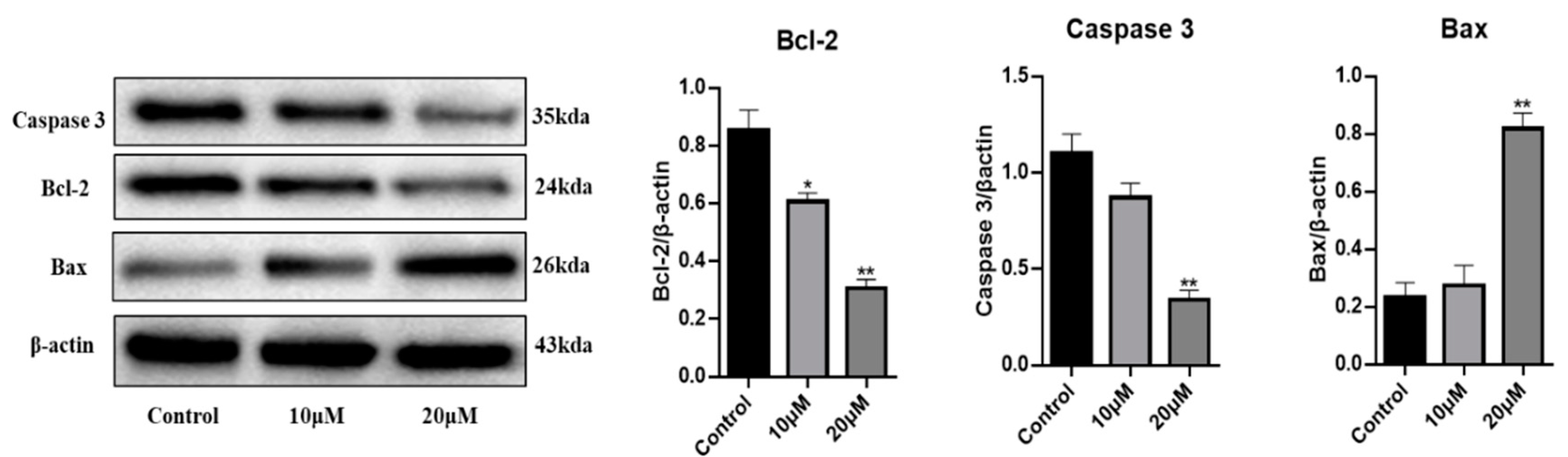 Preprints 90724 g004