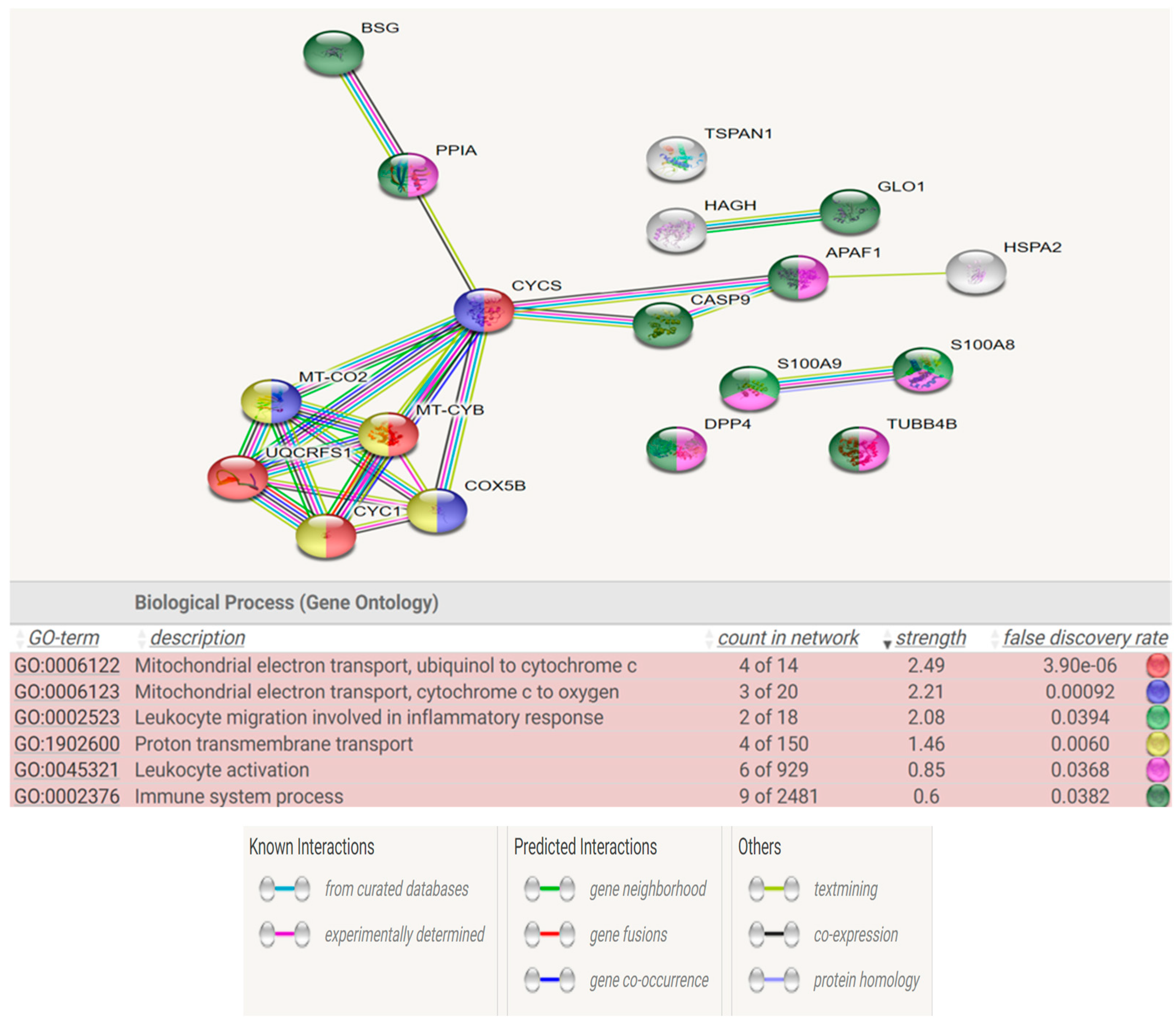 Preprints 90501 g006