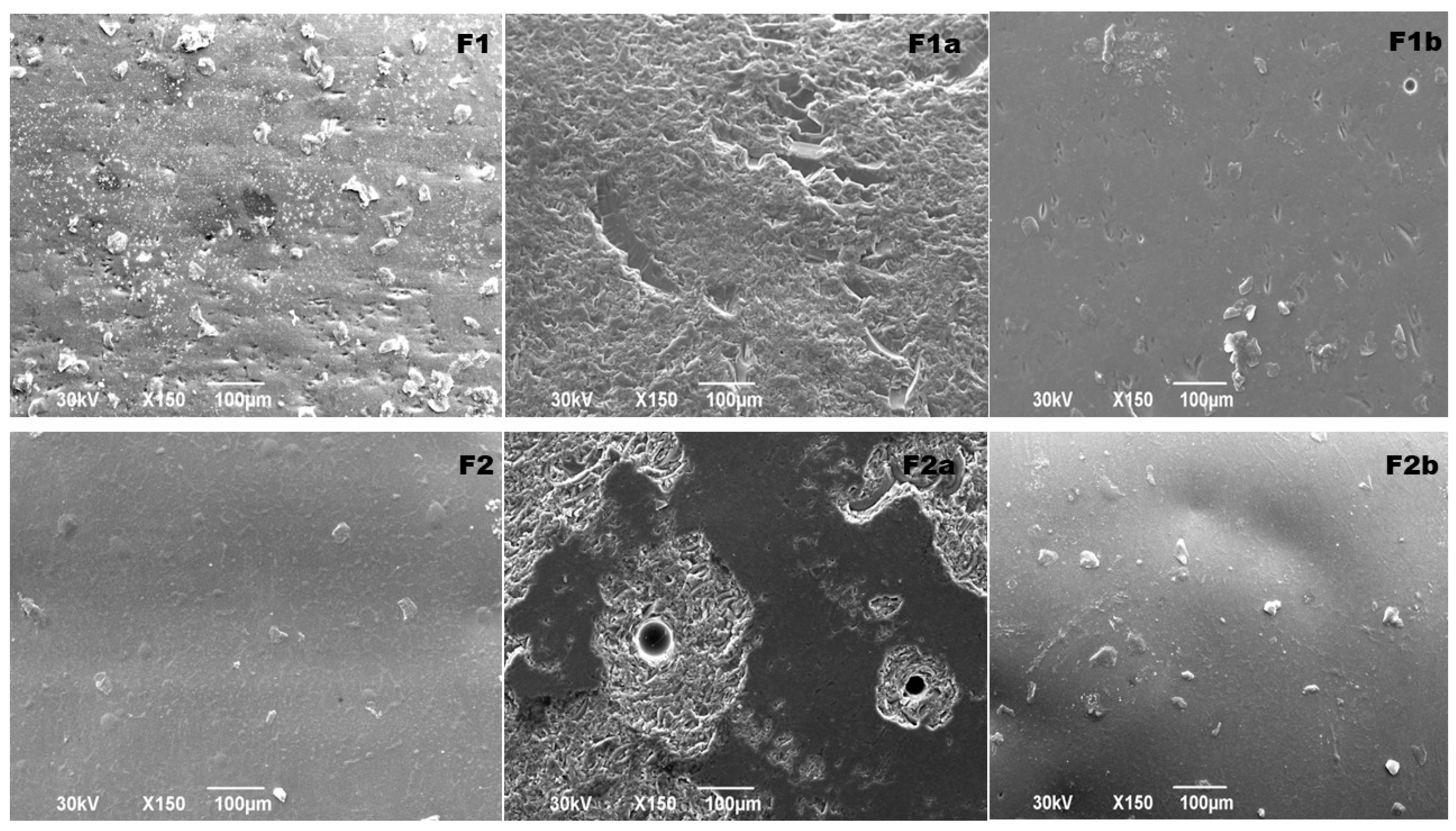 Preprints 77506 g002