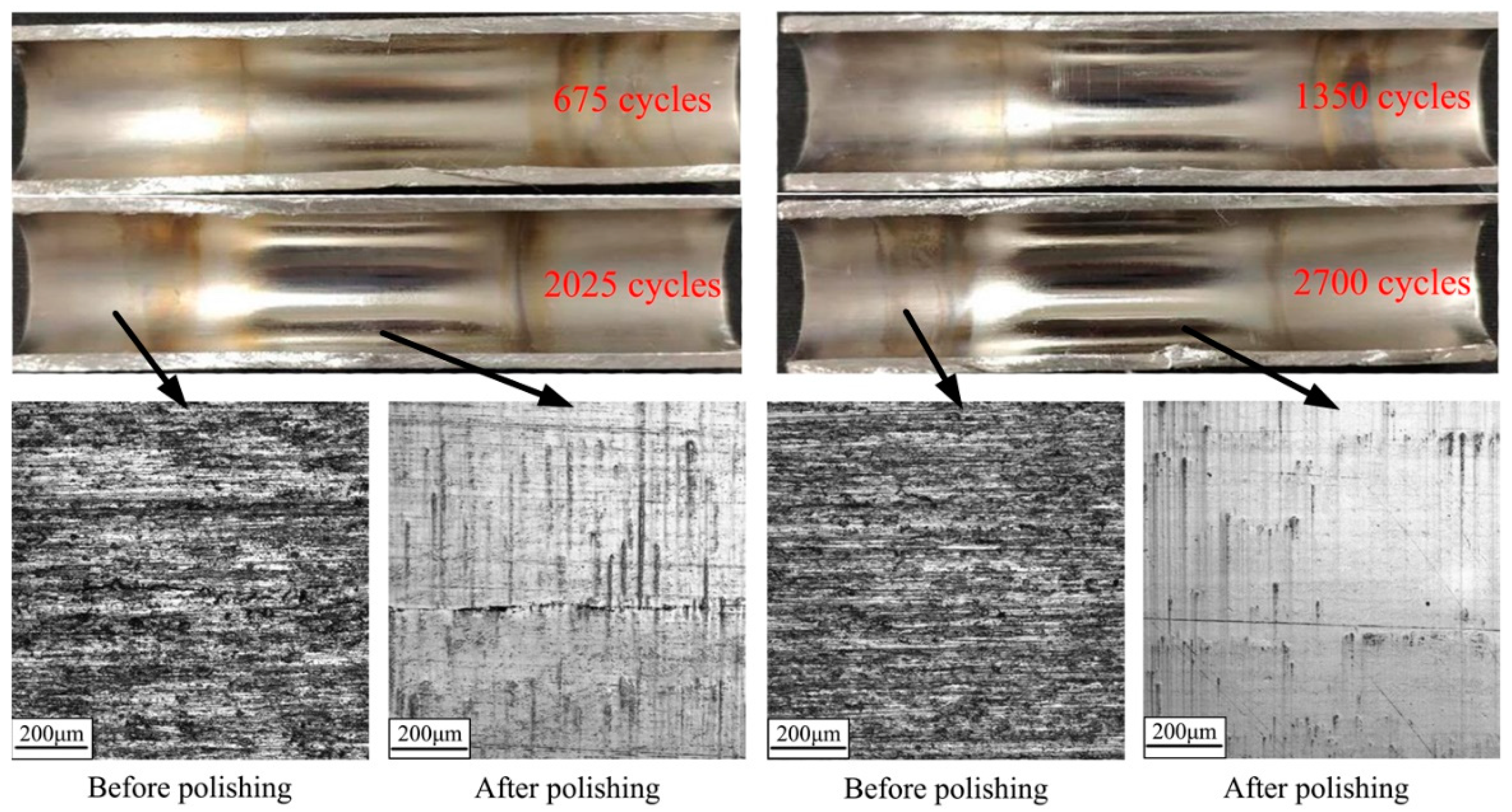 Preprints 98405 g010