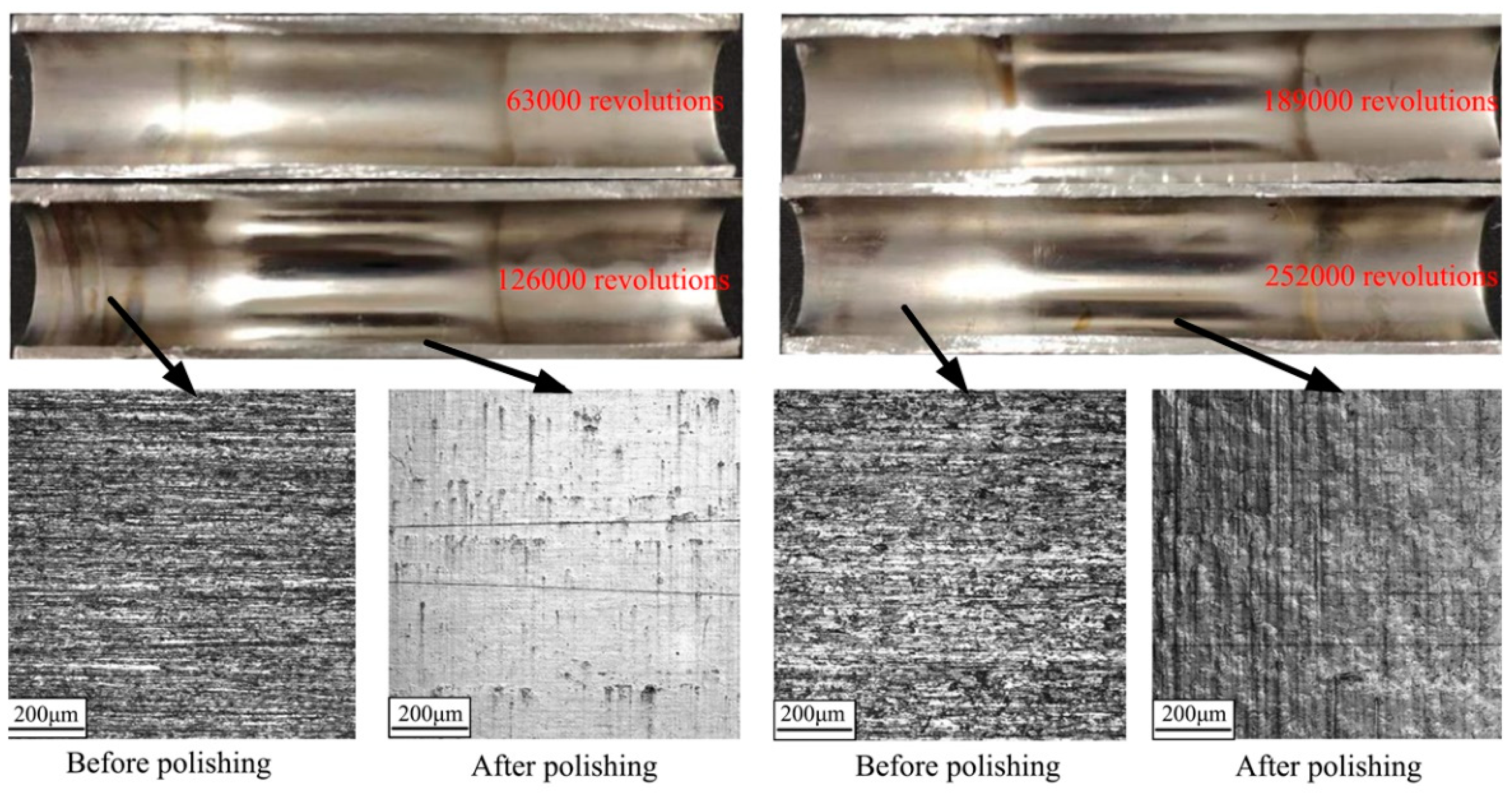 Preprints 98405 g013