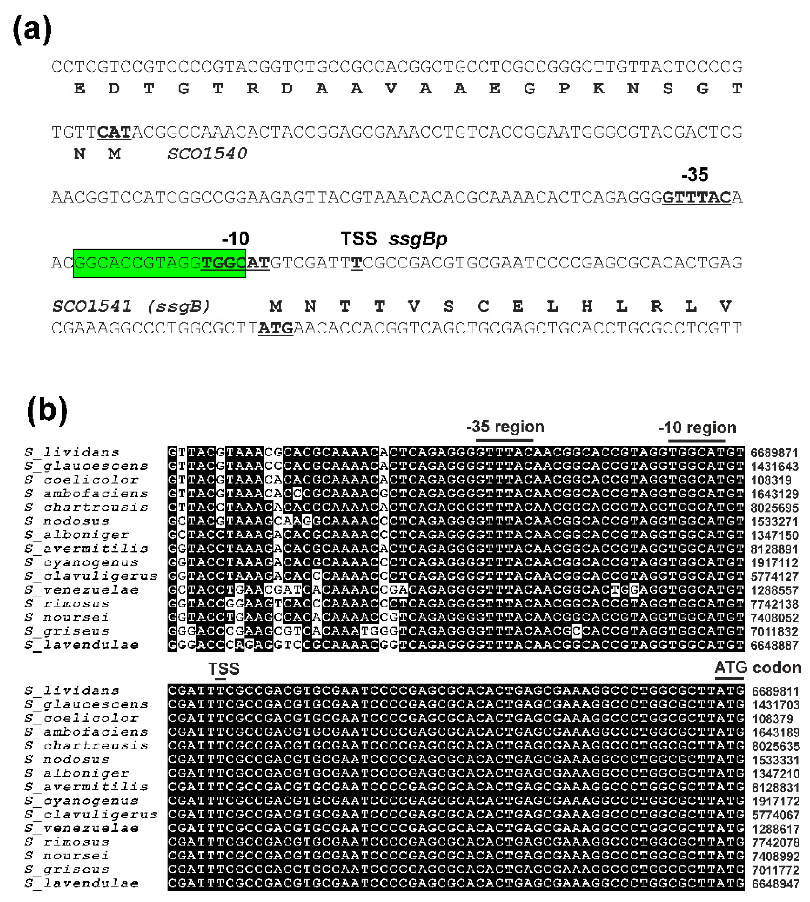 Preprints 84525 g001