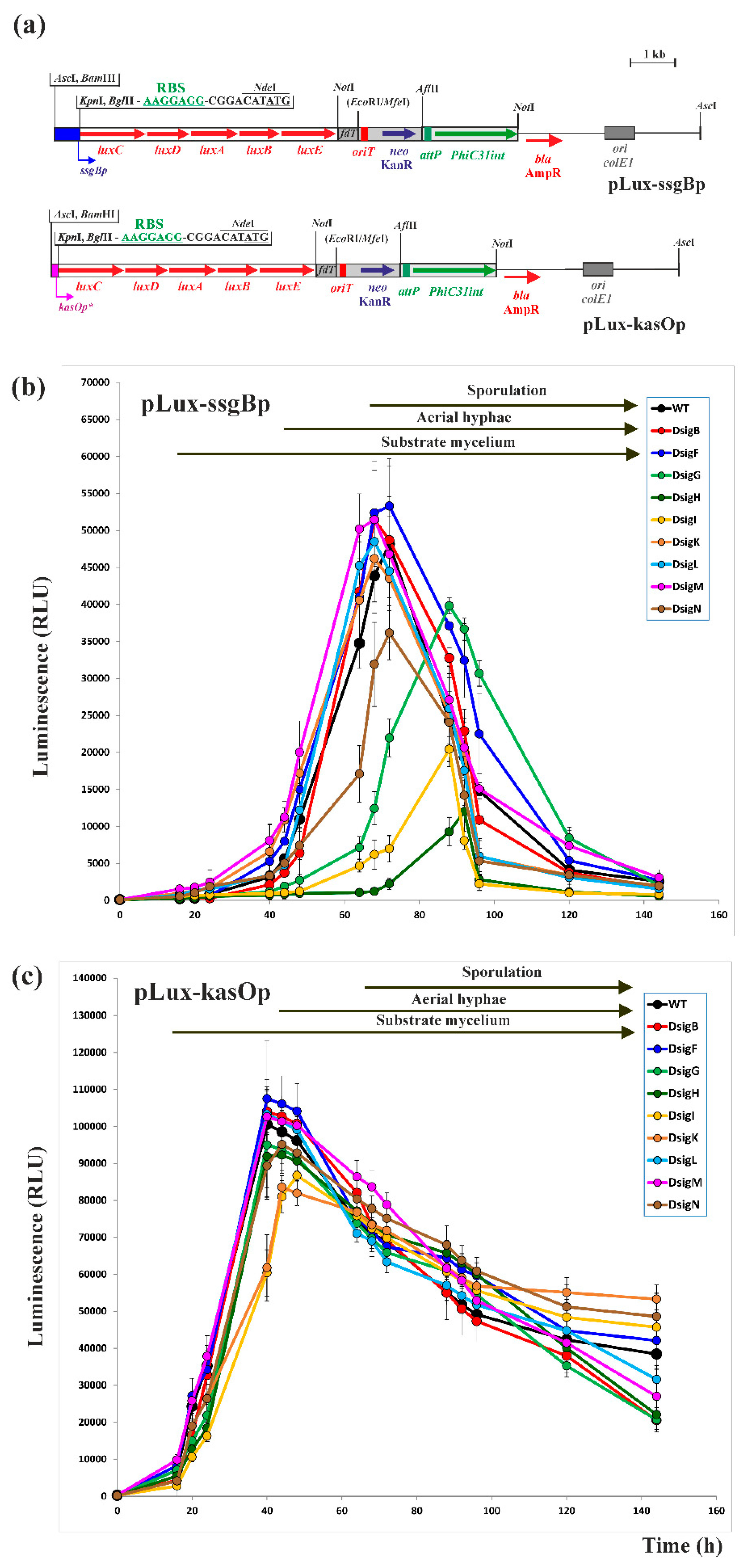 Preprints 84525 g002