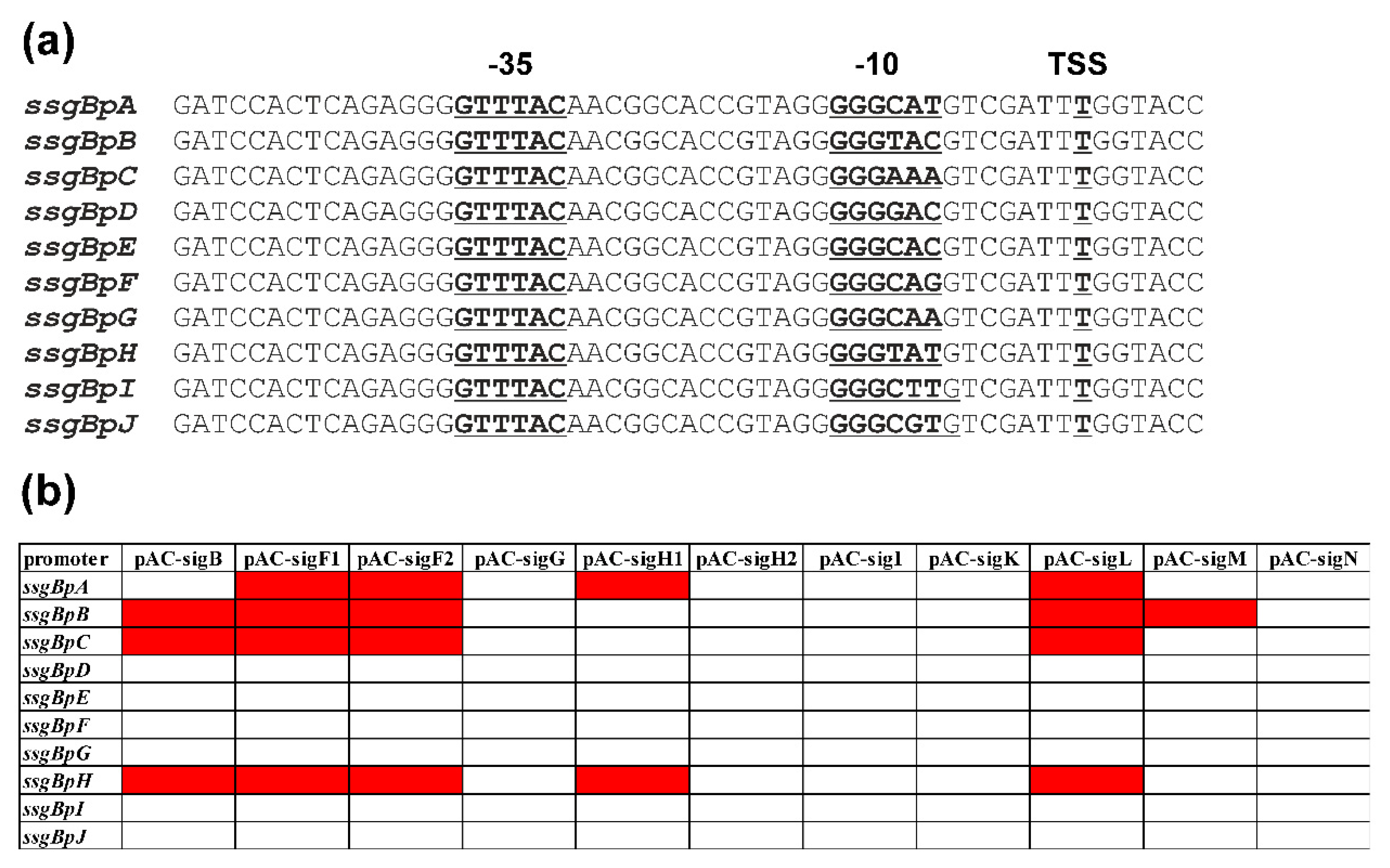 Preprints 84525 g003