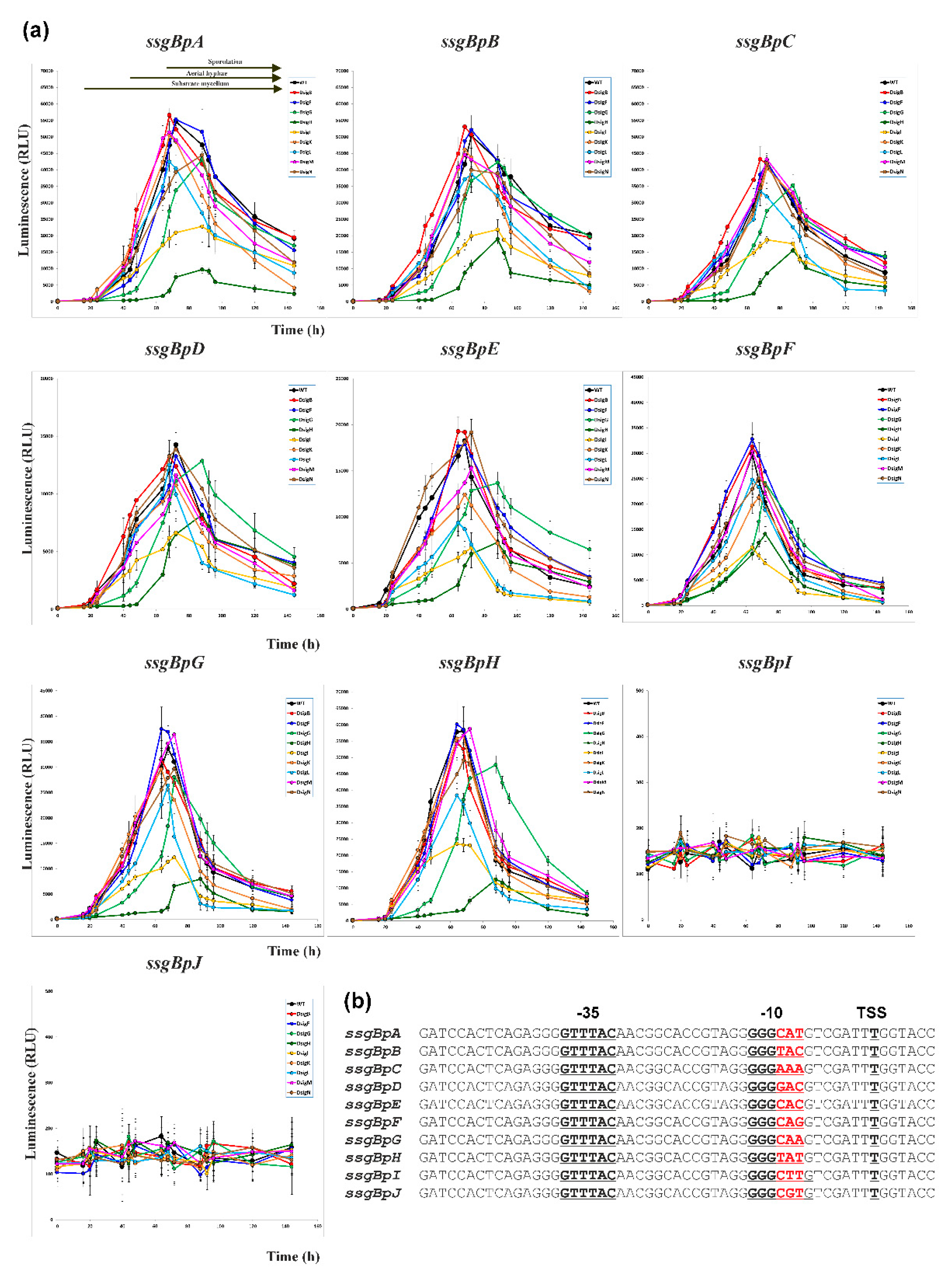 Preprints 84525 g004