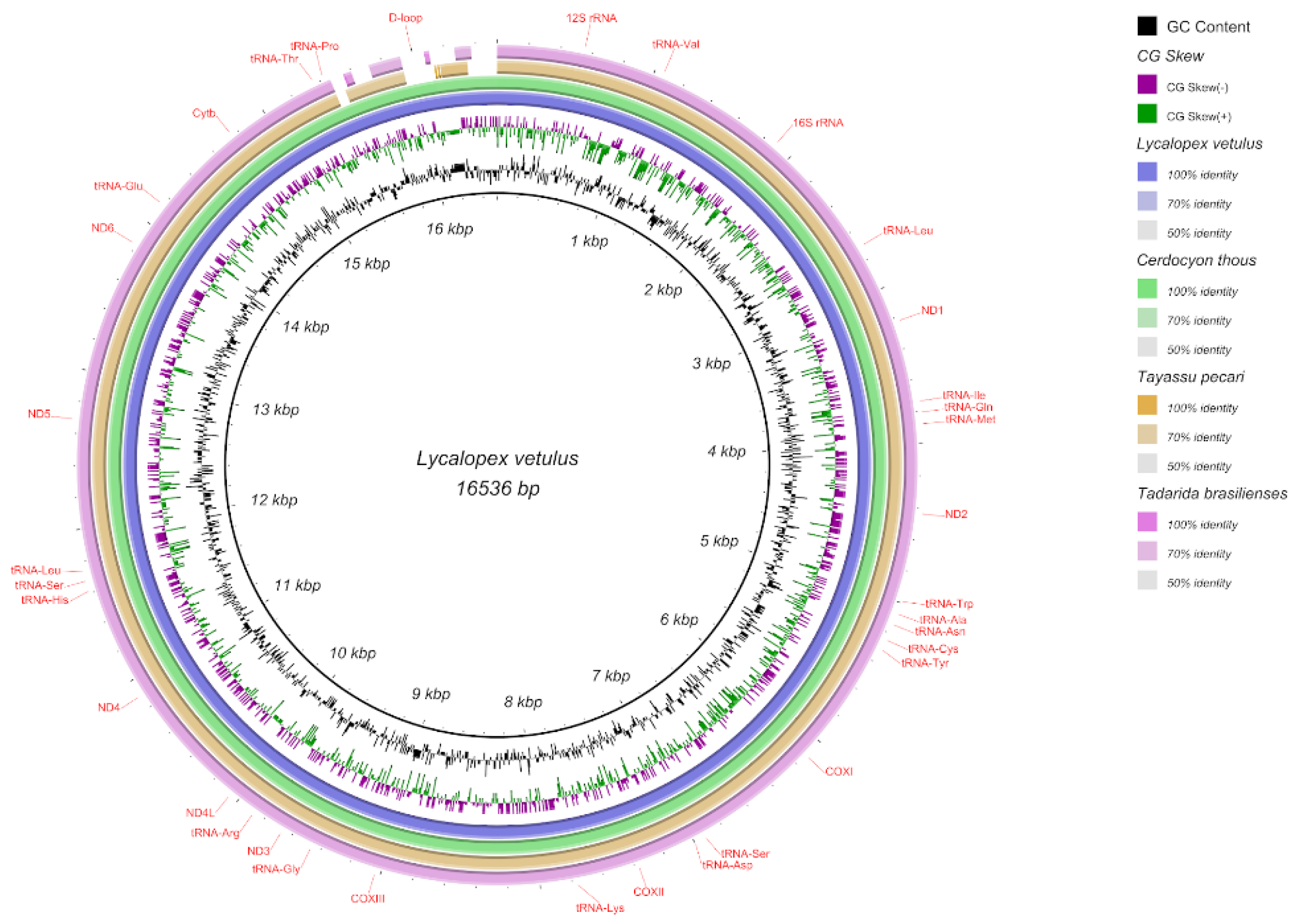 Preprints 120167 g002