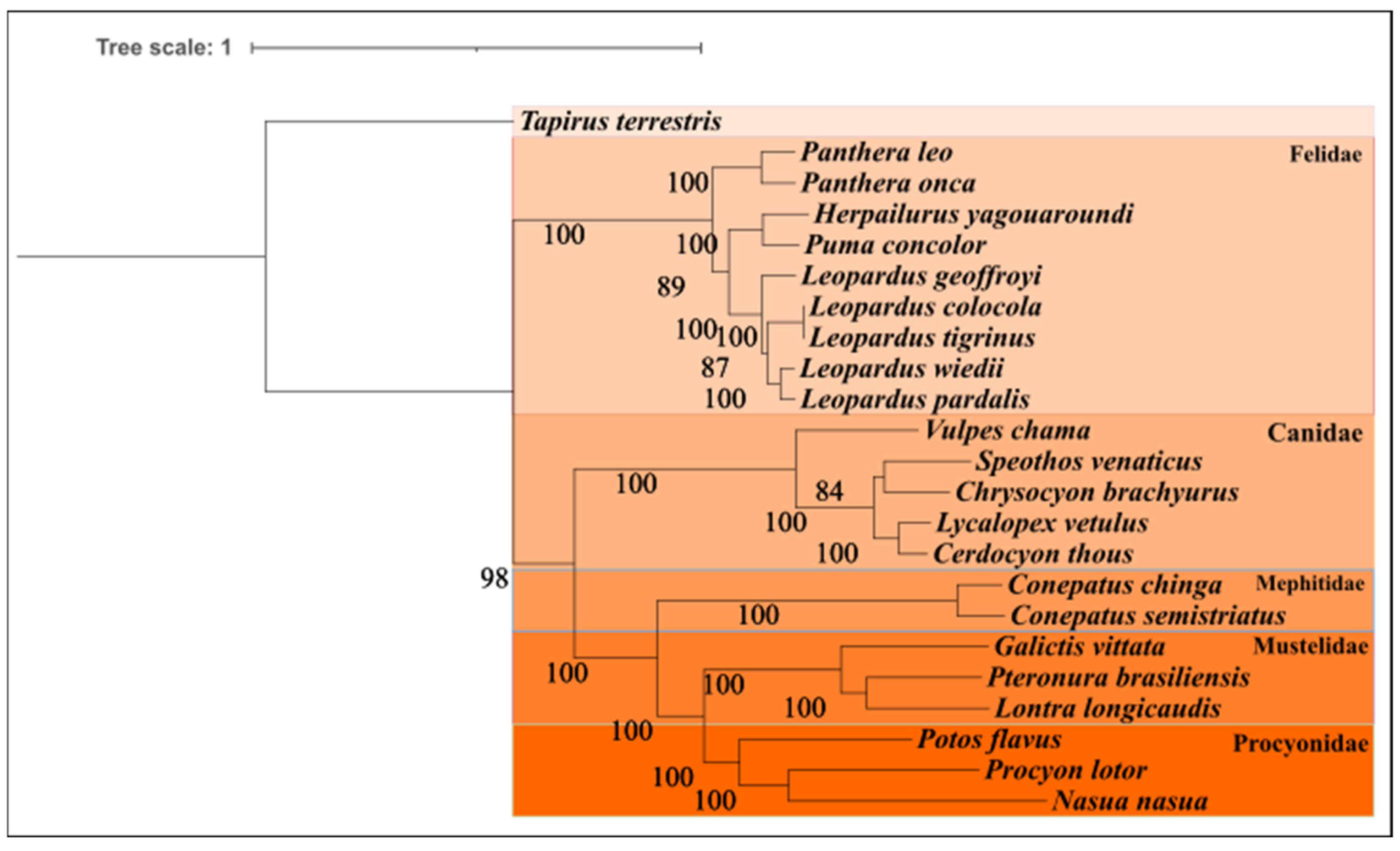 Preprints 120167 g004