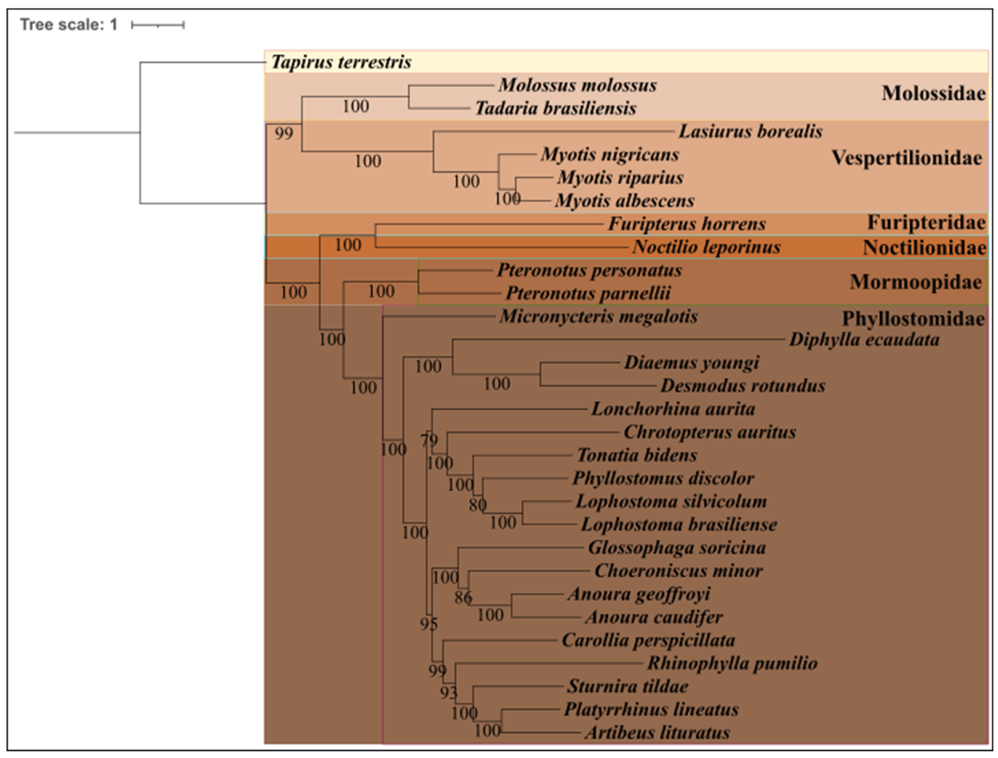 Preprints 120167 g005