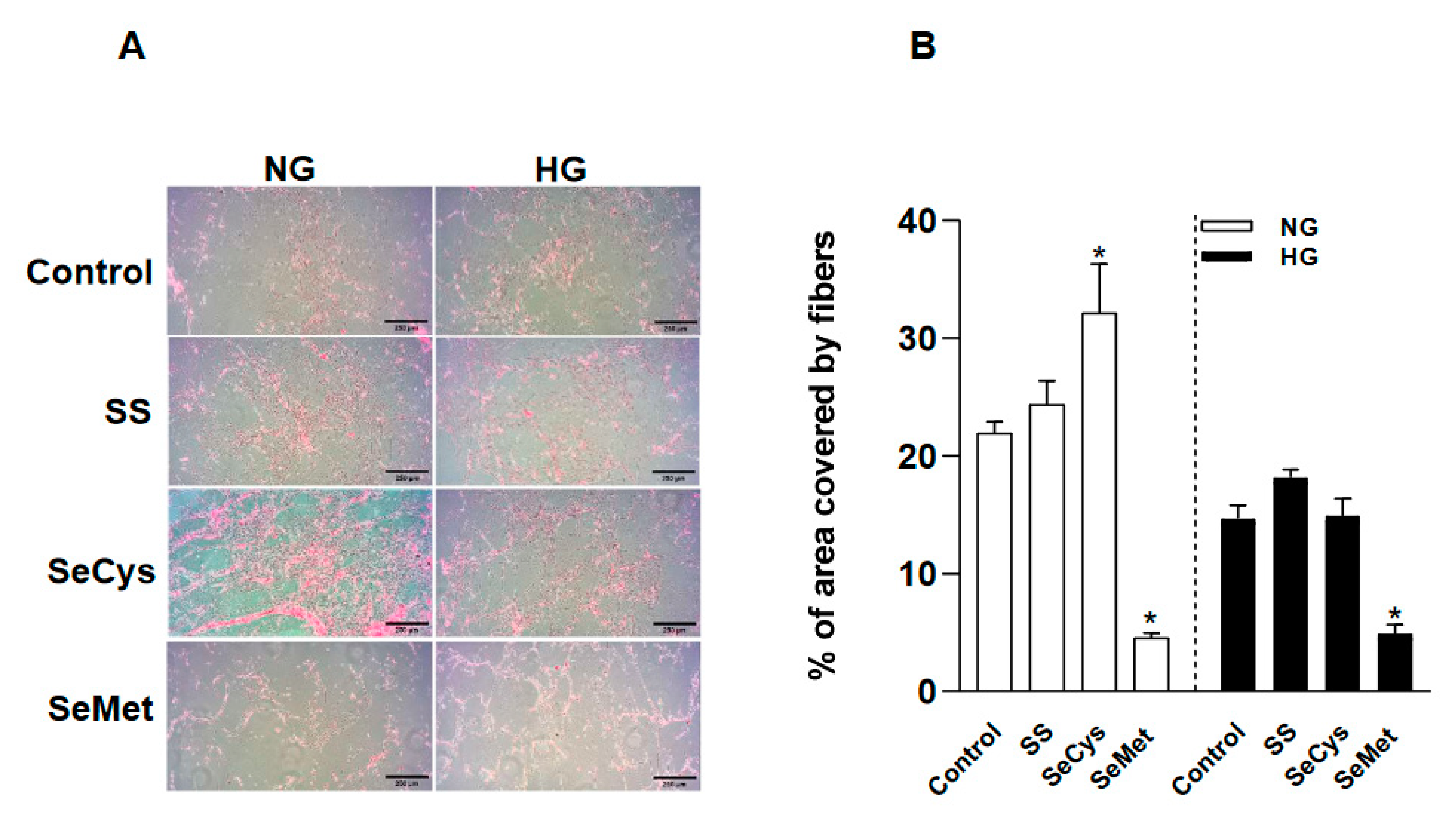 Preprints 93361 g003