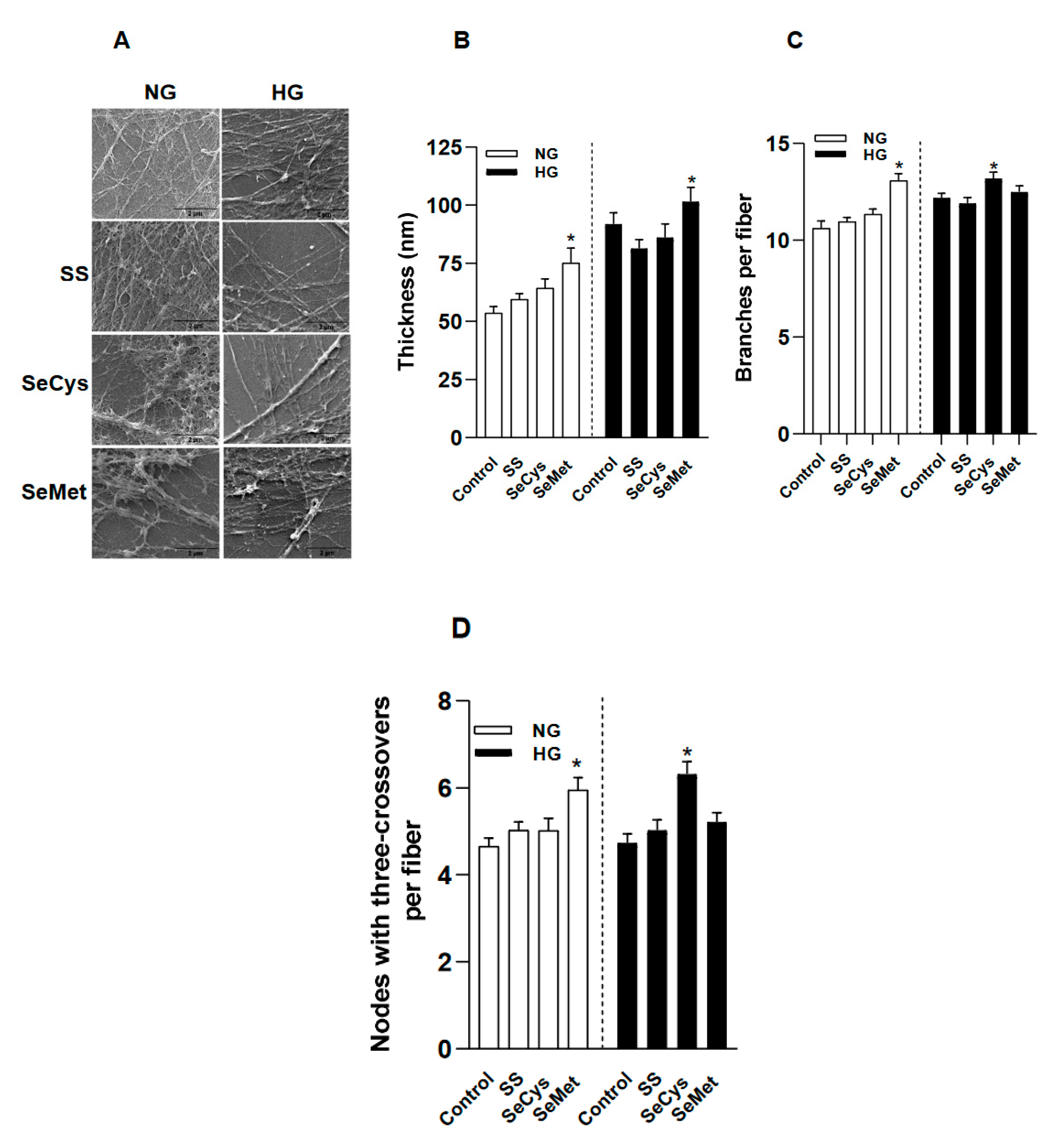 Preprints 93361 g004