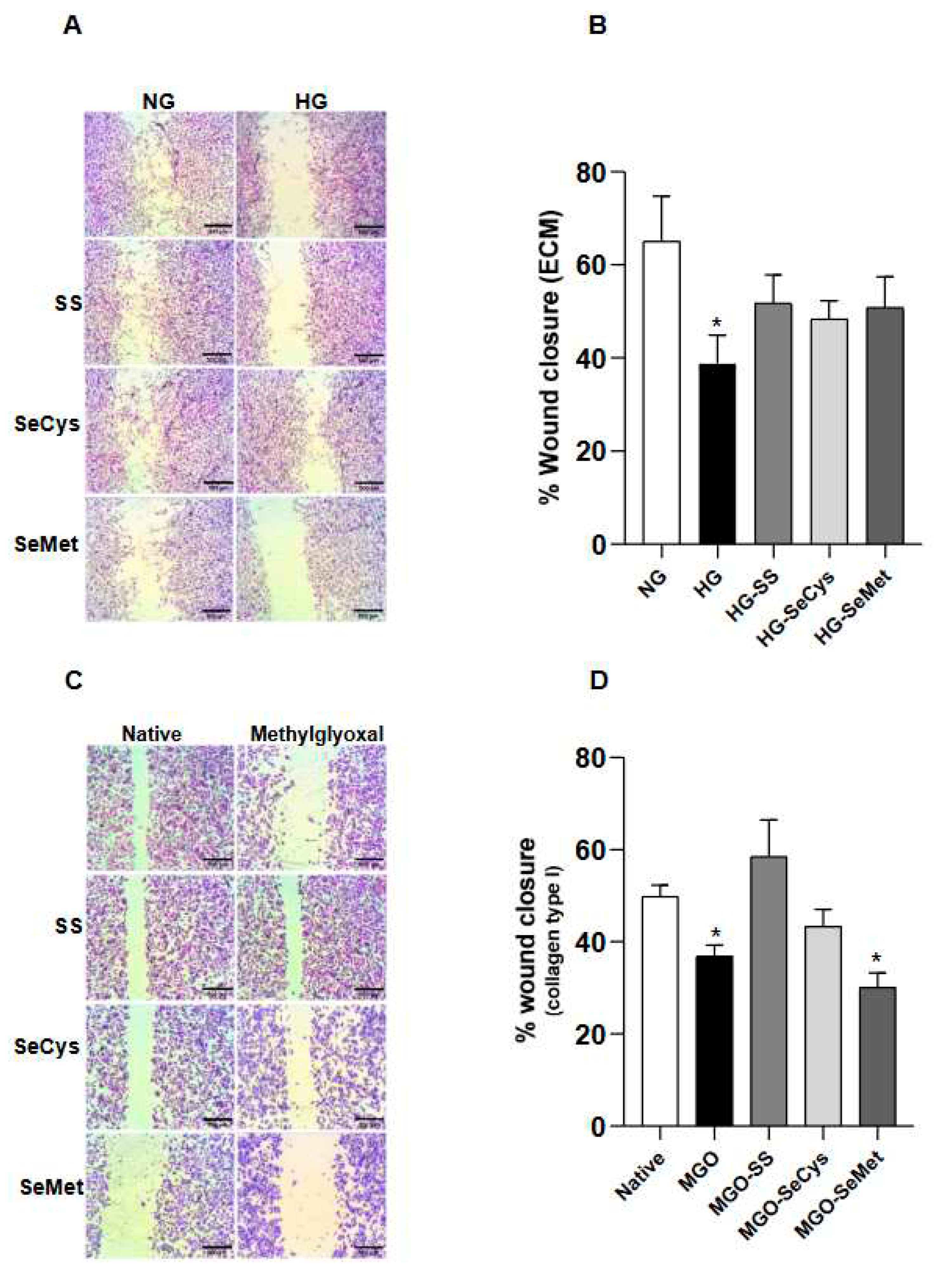 Preprints 93361 g005