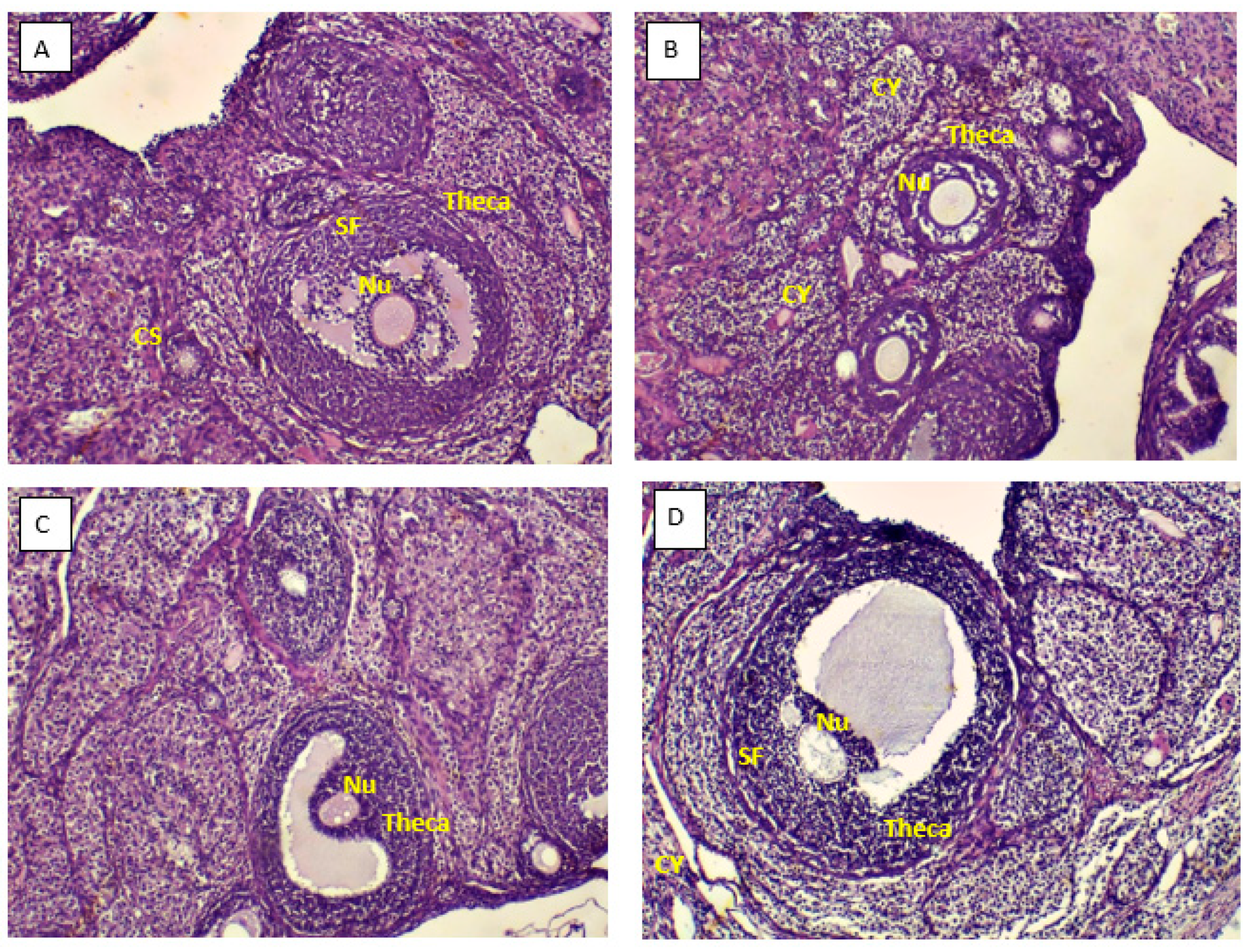 Preprints 70906 g001