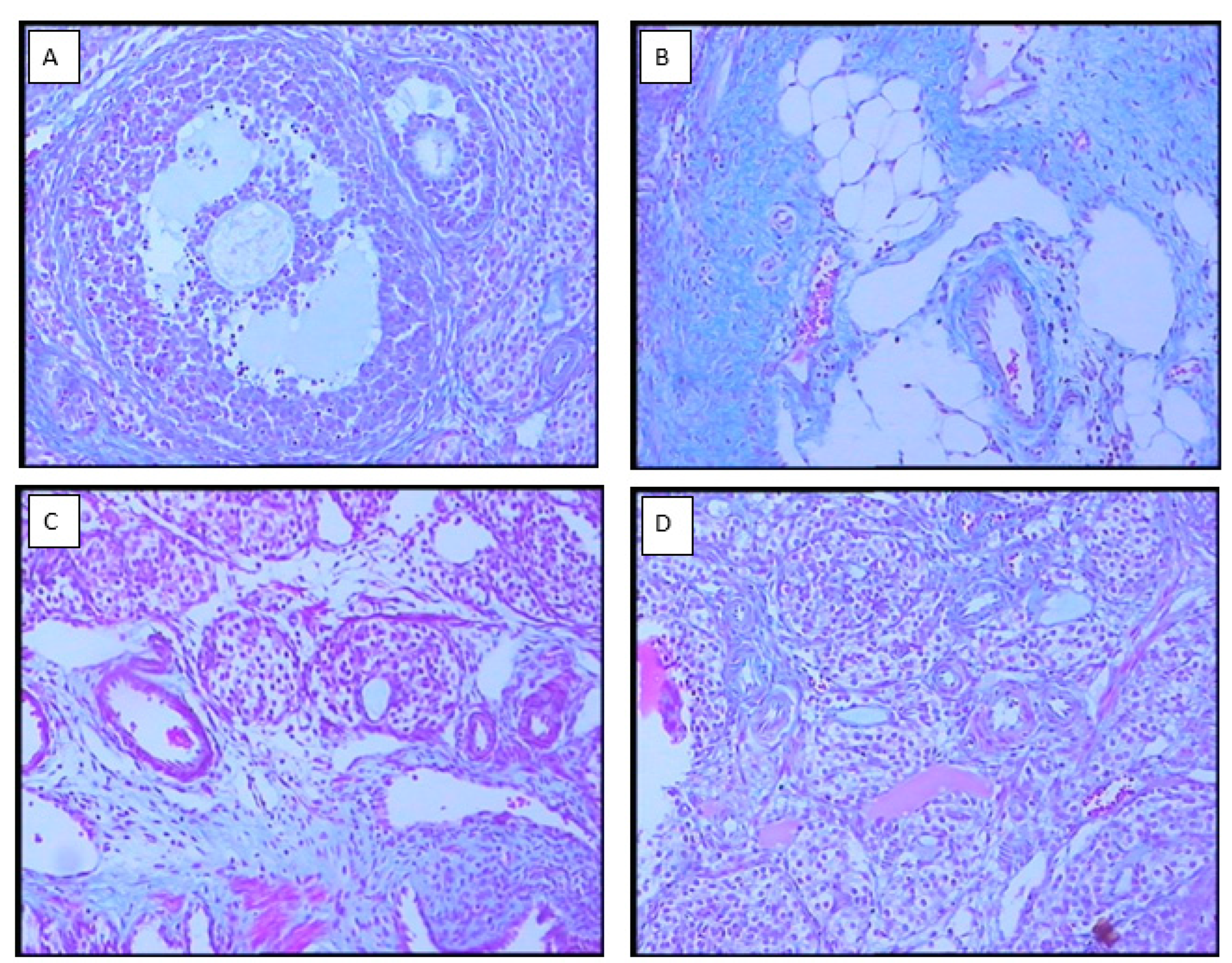 Preprints 70906 g002