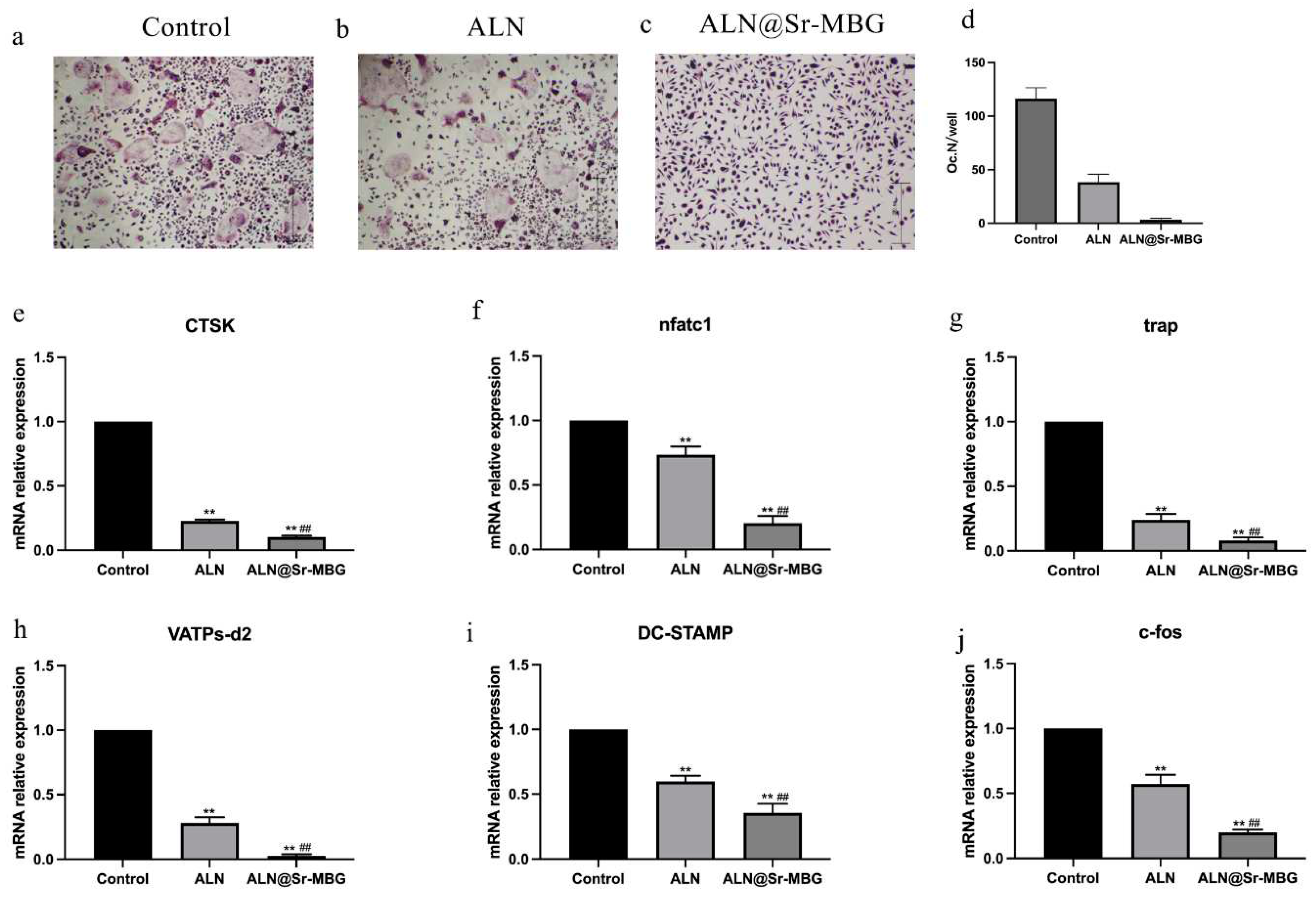 Preprints 90303 g004