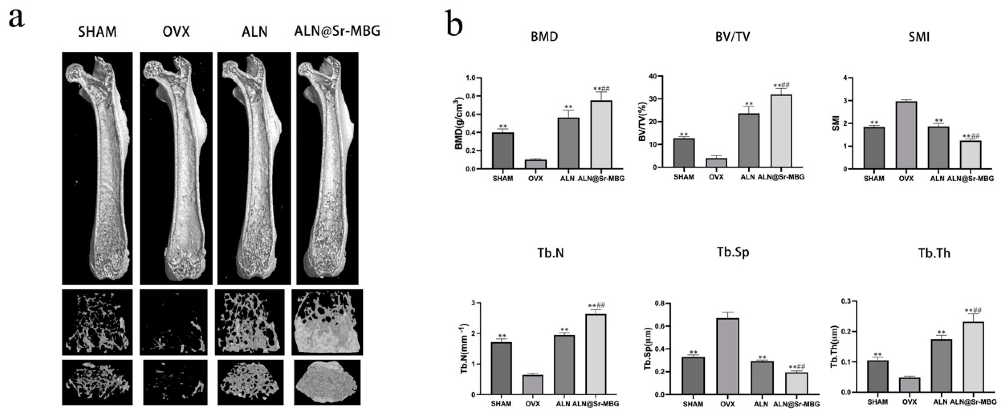 Preprints 90303 g005