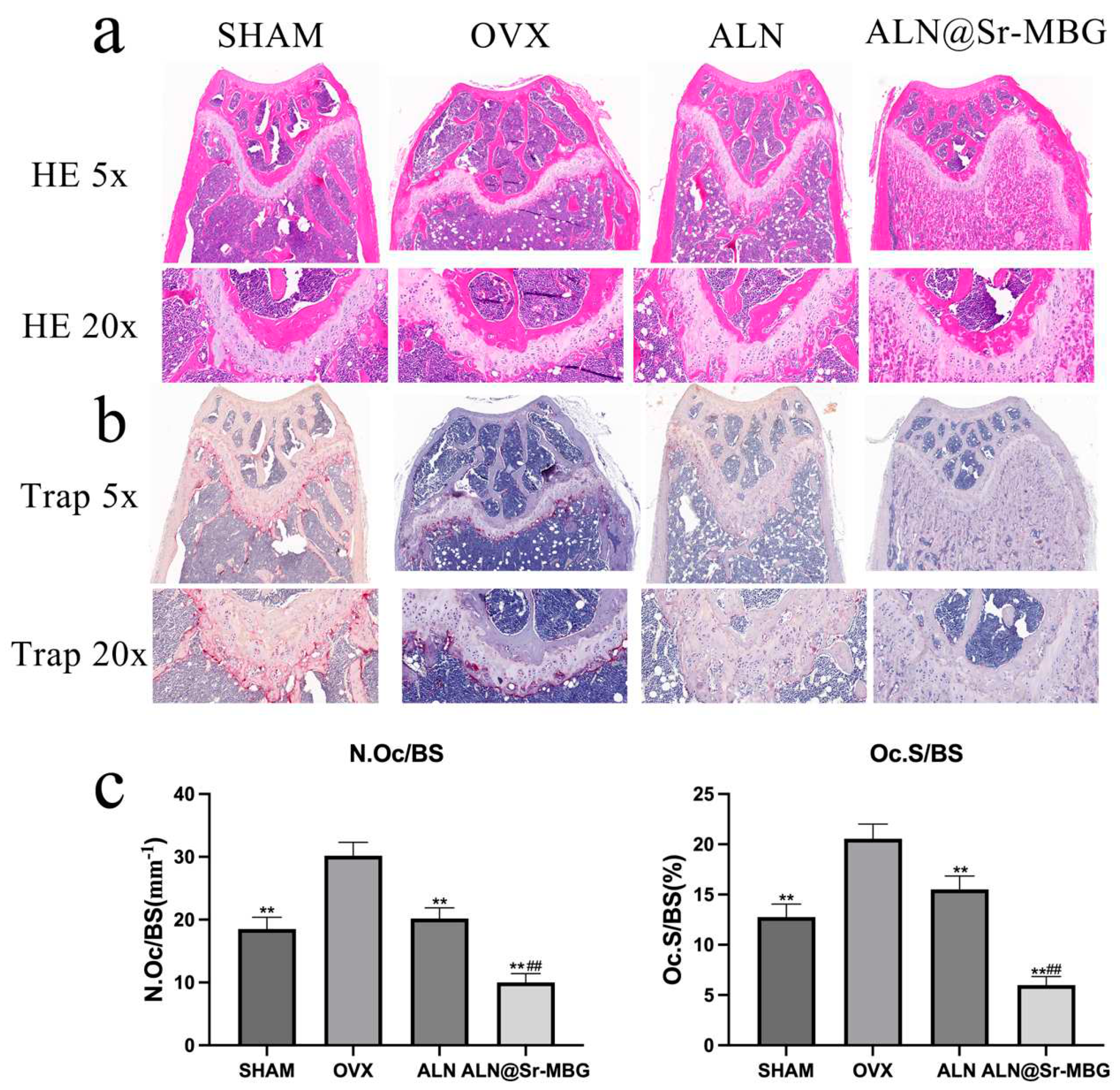 Preprints 90303 g006