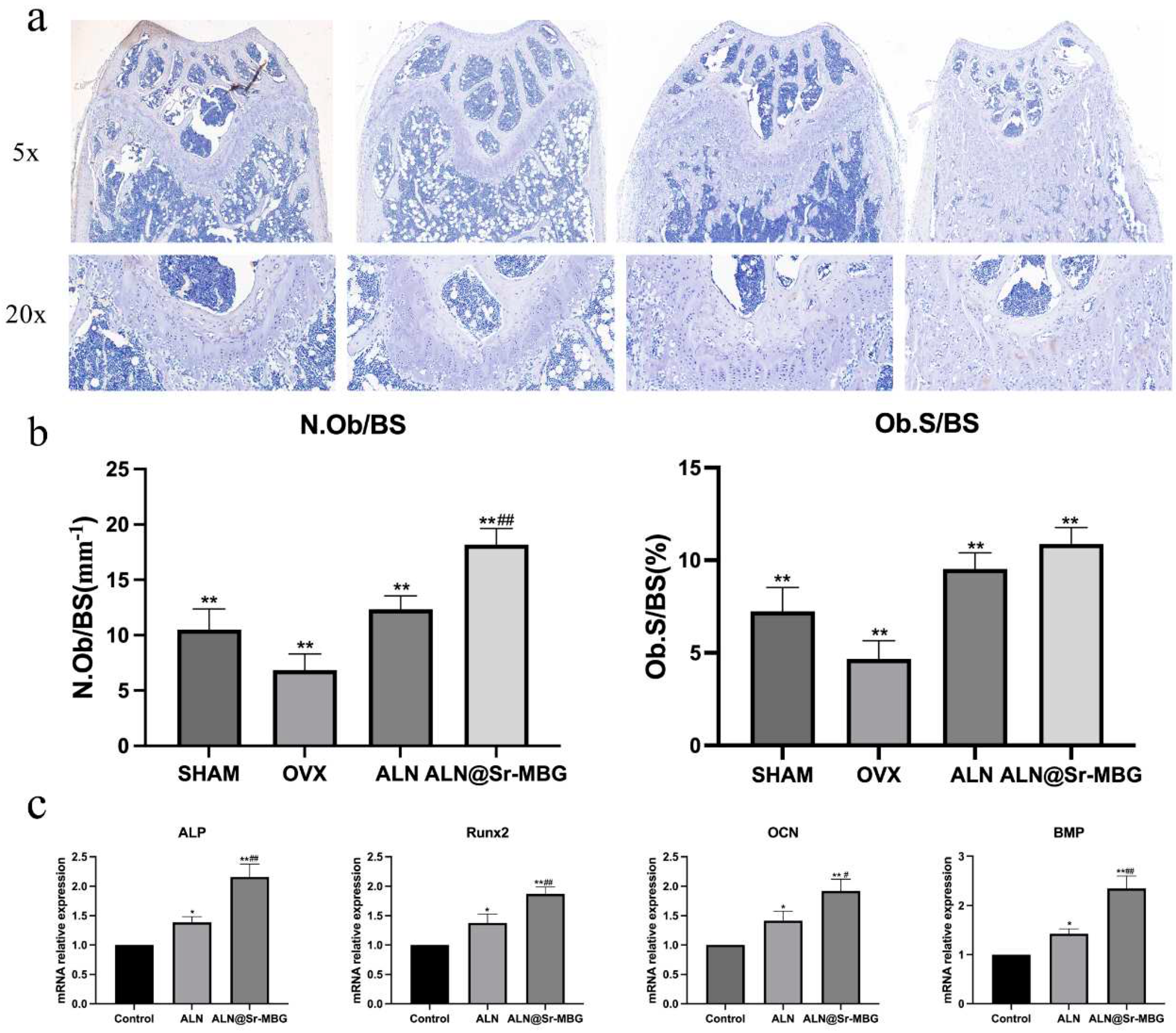 Preprints 90303 g007