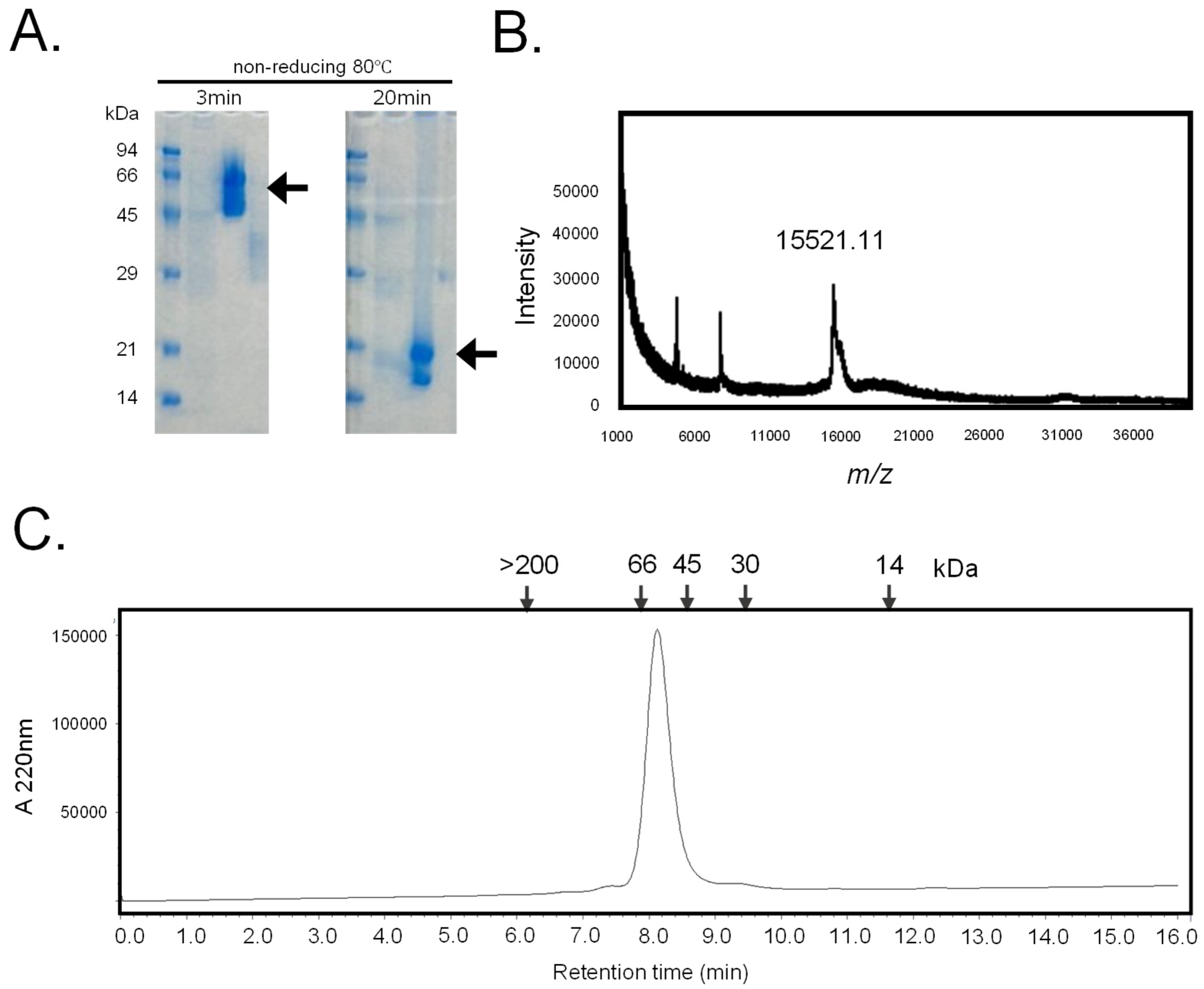 Preprints 115569 g001