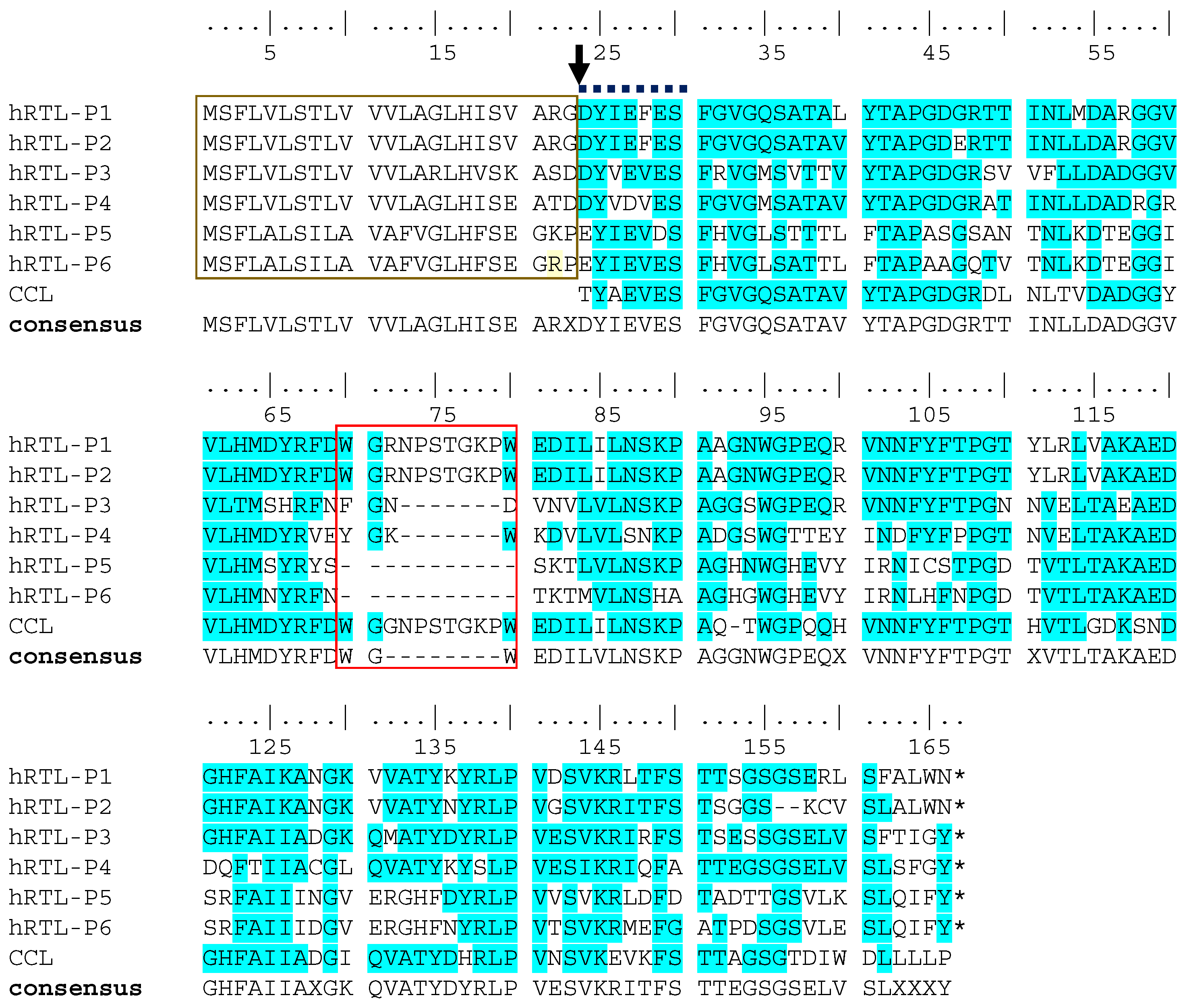 Preprints 115569 g003