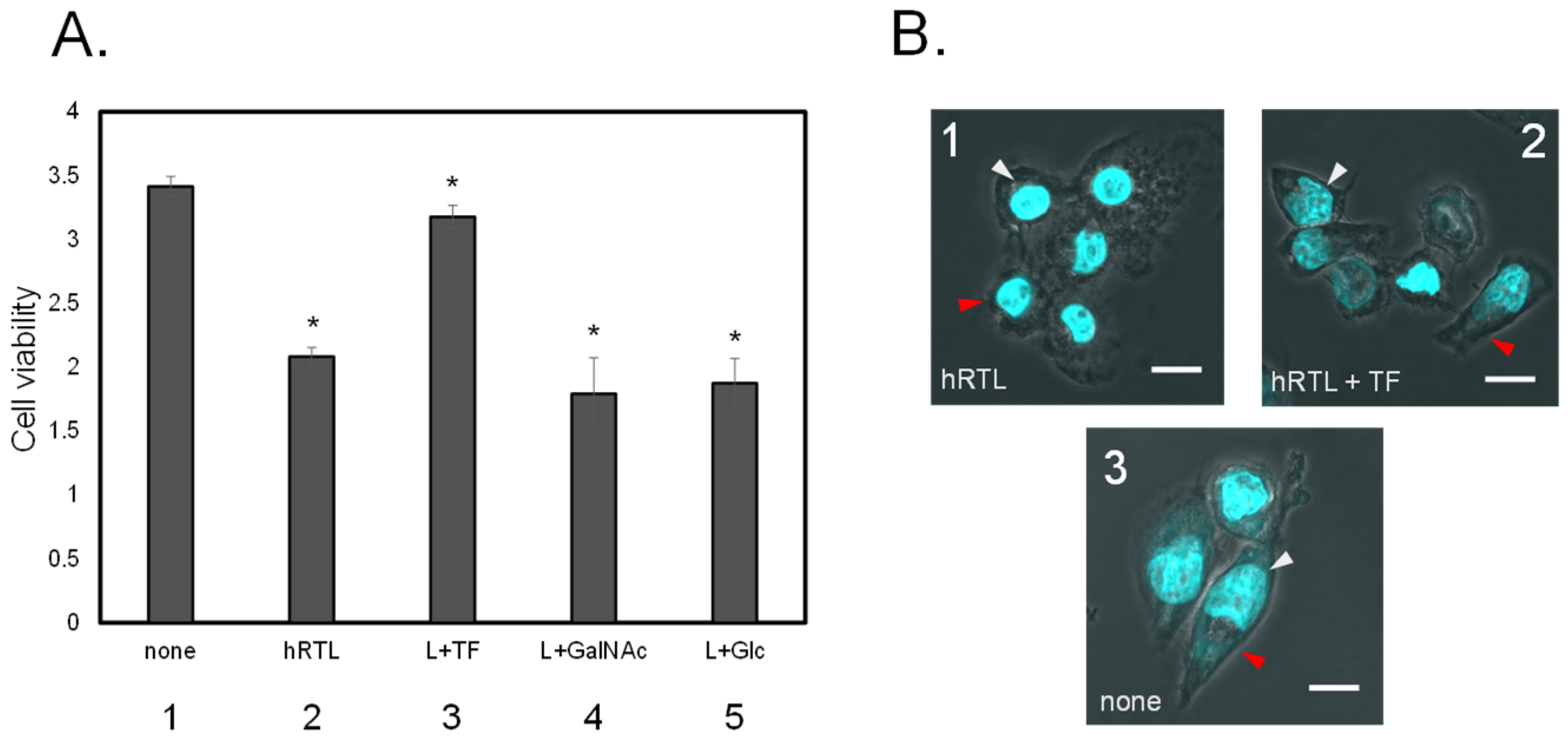 Preprints 115569 g008