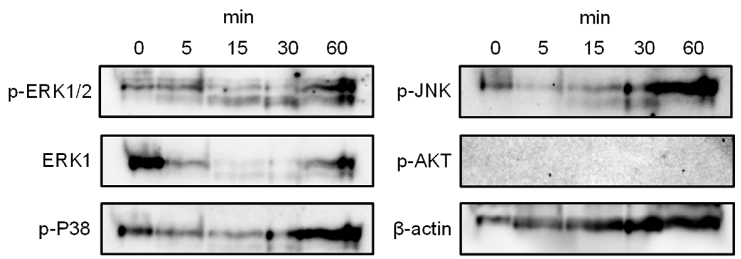 Preprints 115569 g009