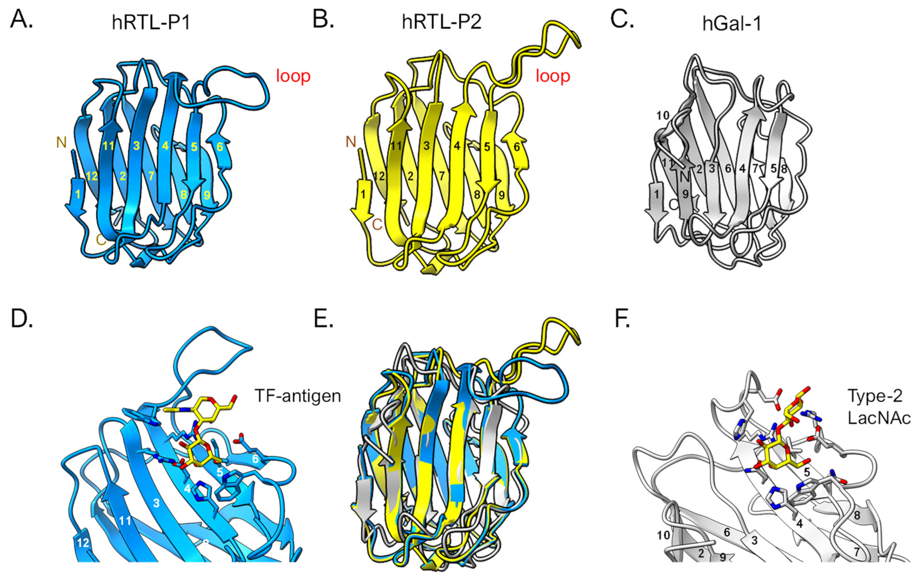 Preprints 115569 g010