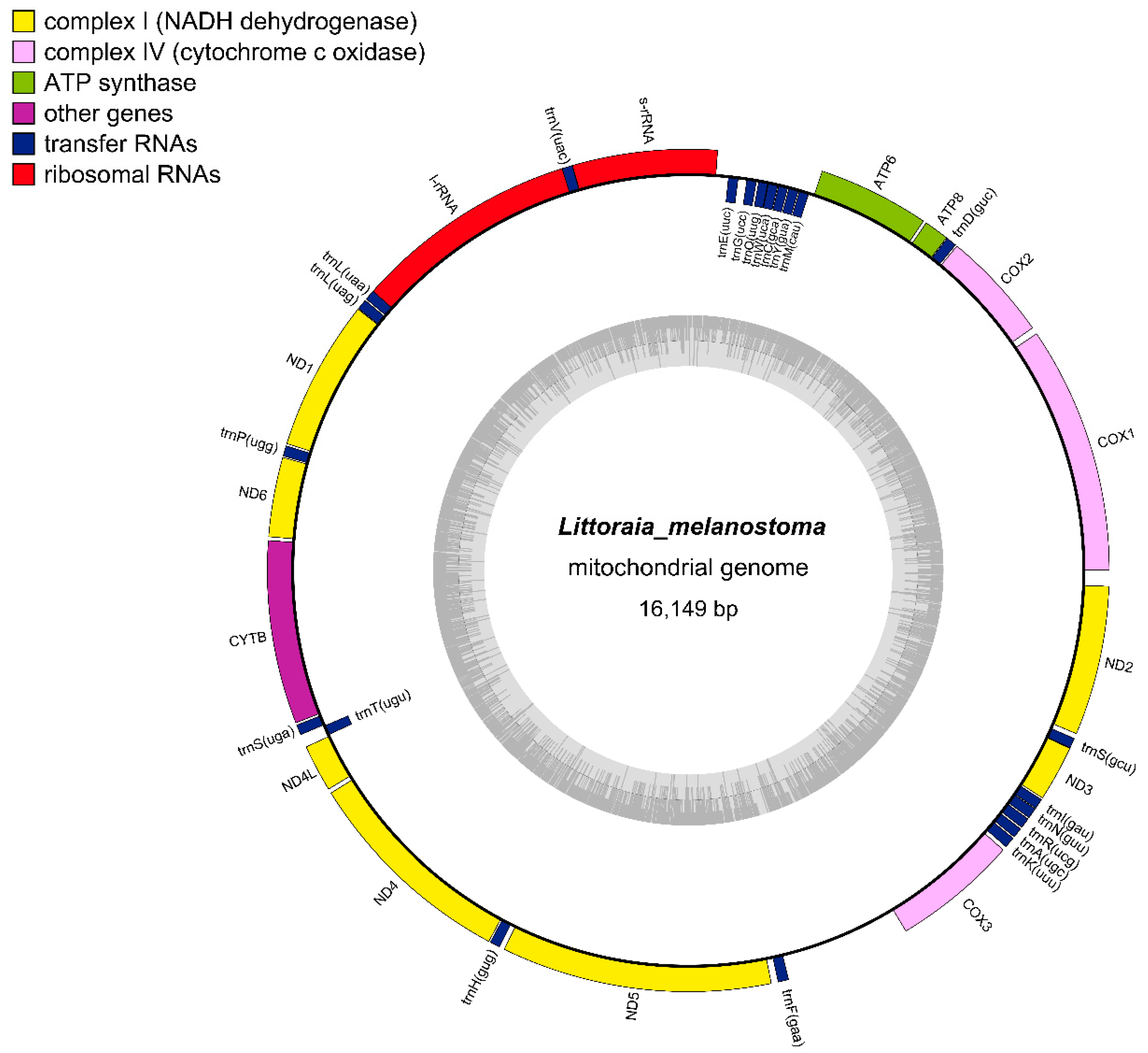 Preprints 82124 g002