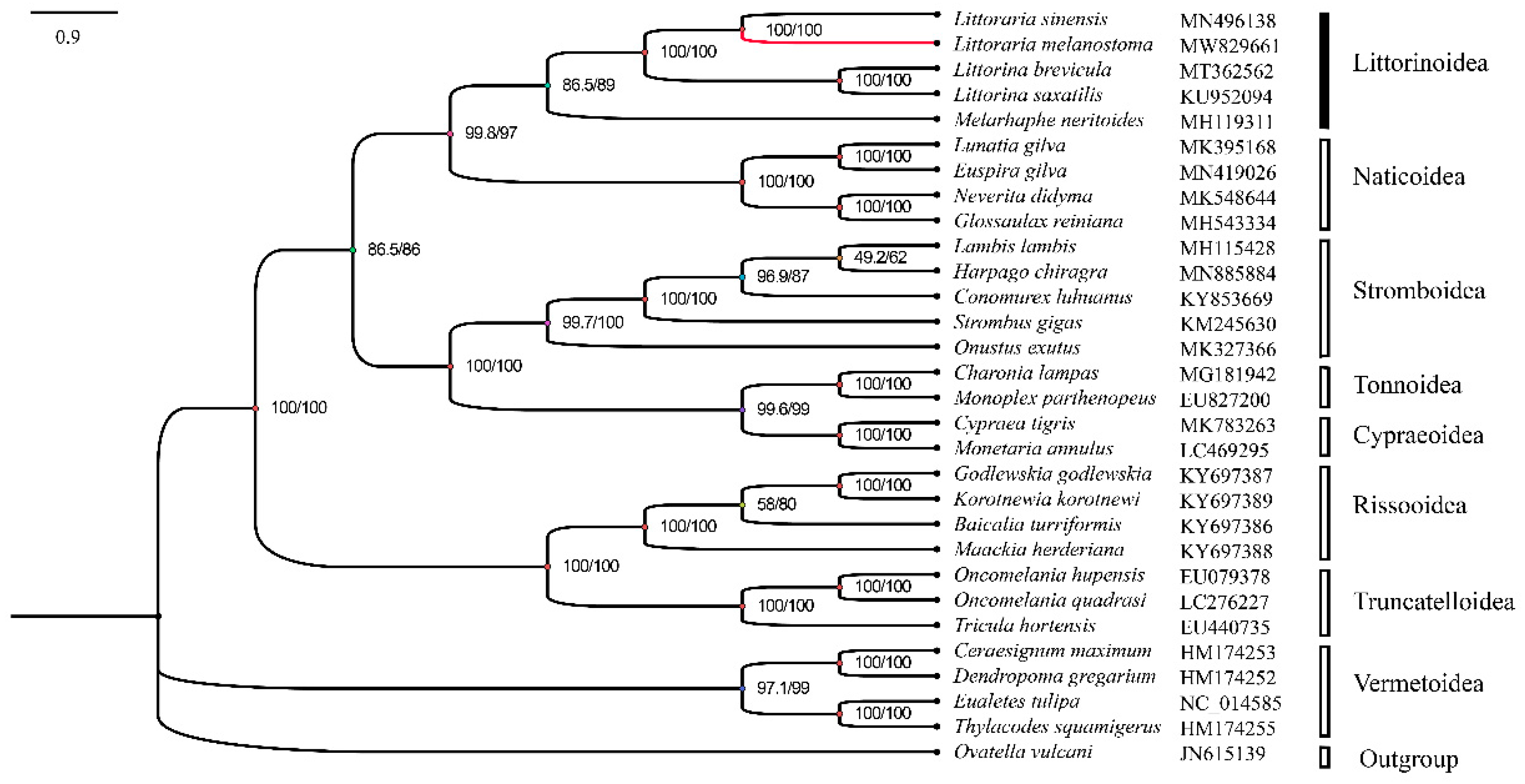 Preprints 82124 g004