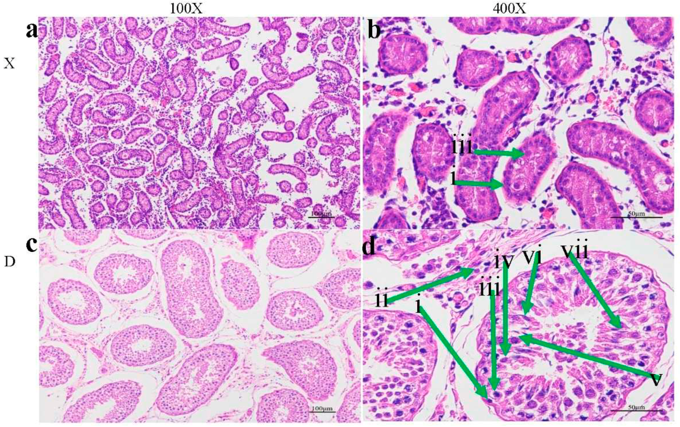 Preprints 90112 g001