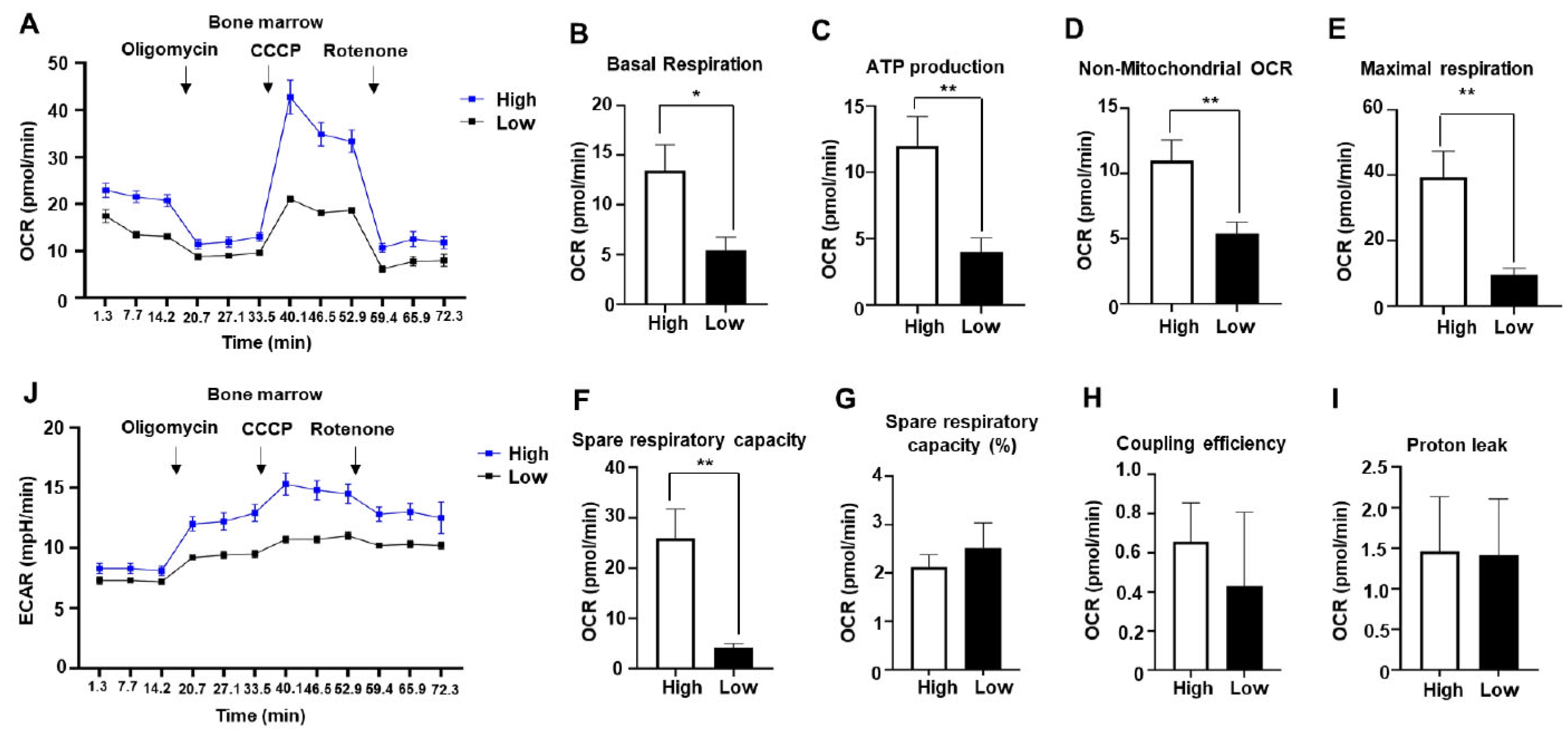 Preprints 91849 g002