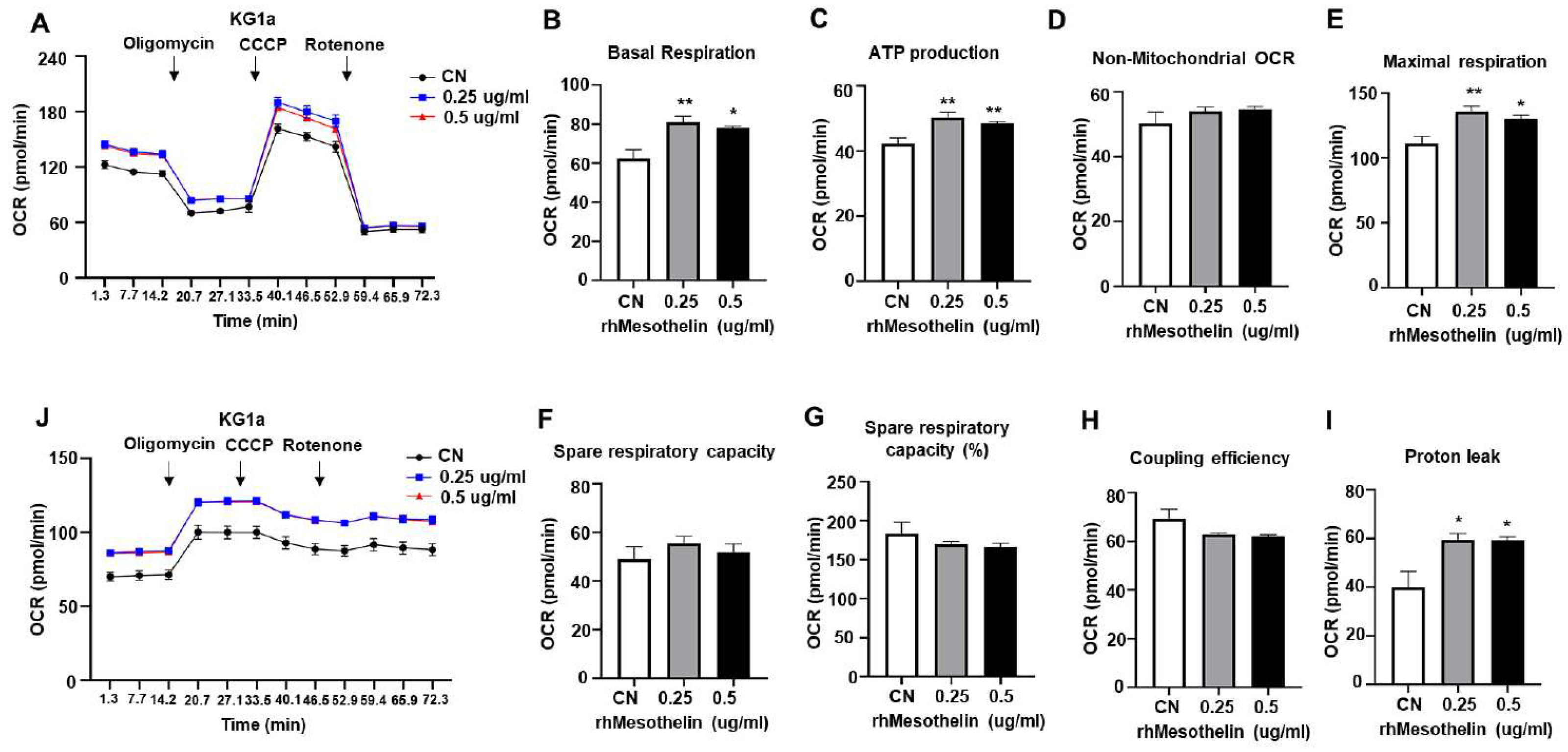 Preprints 91849 g003